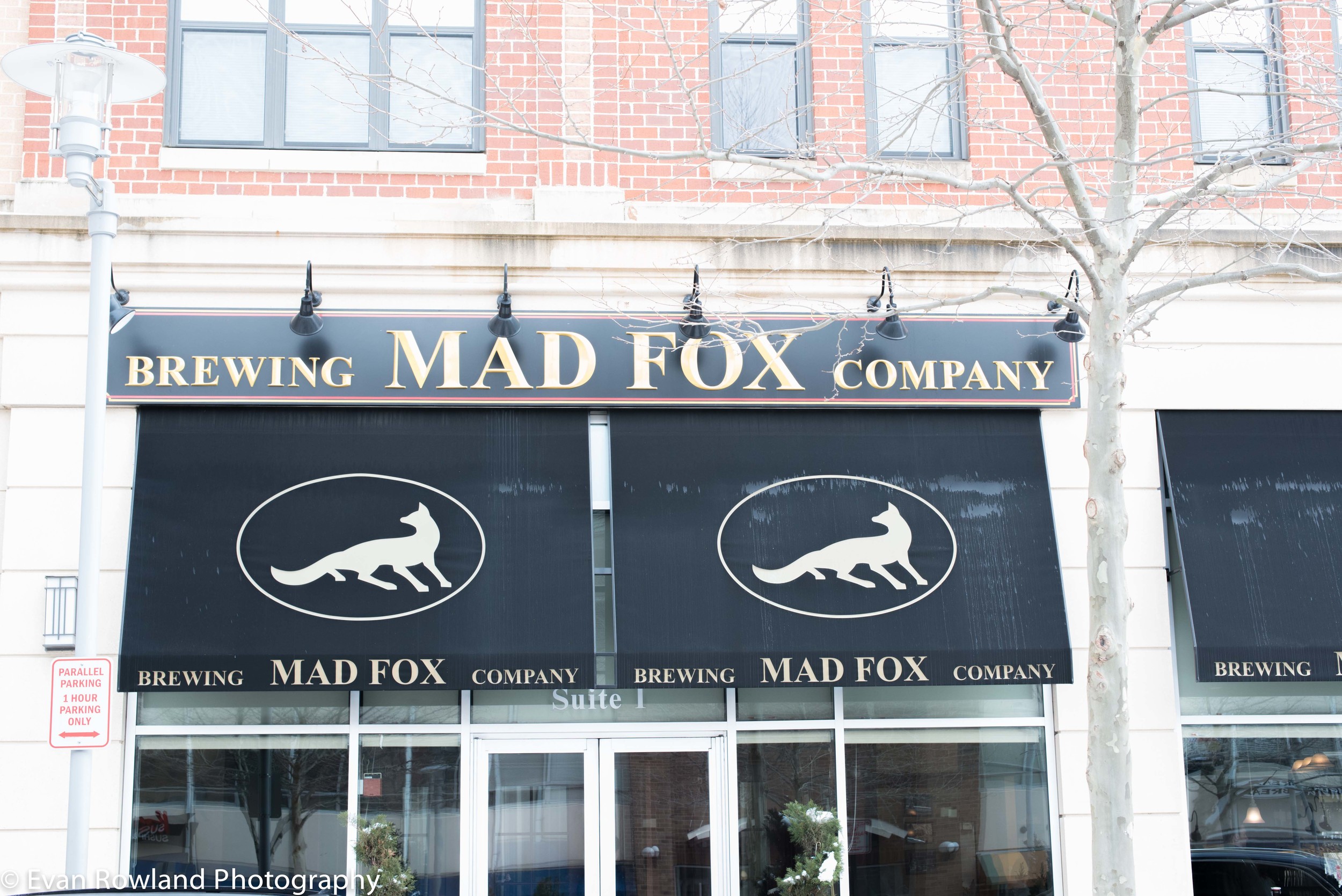 Entry to Mad Fox