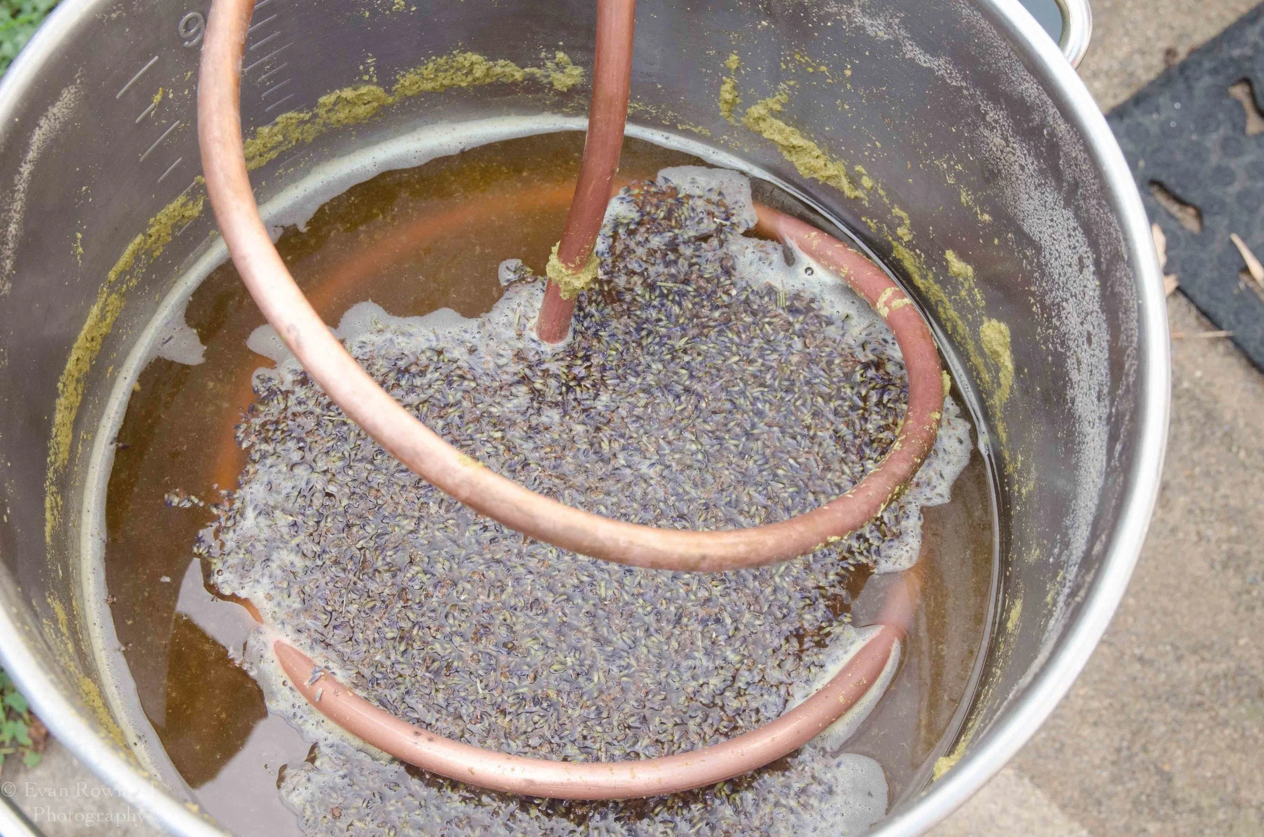 Lavender Saison: Universally Popular Panty-Dropper