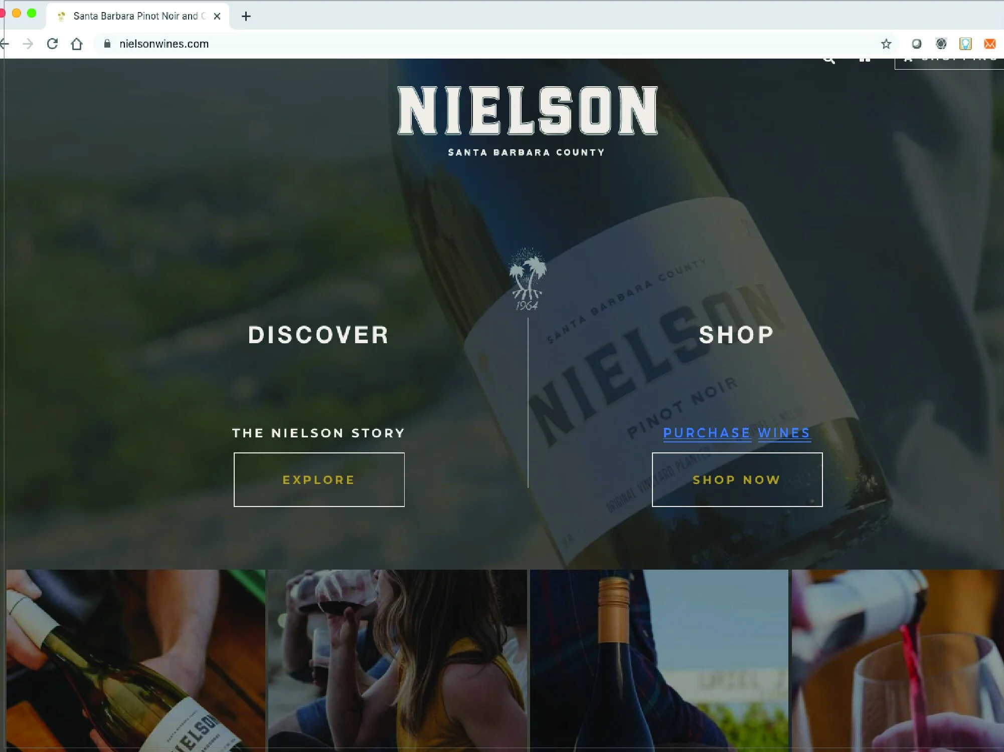 Nielson website development