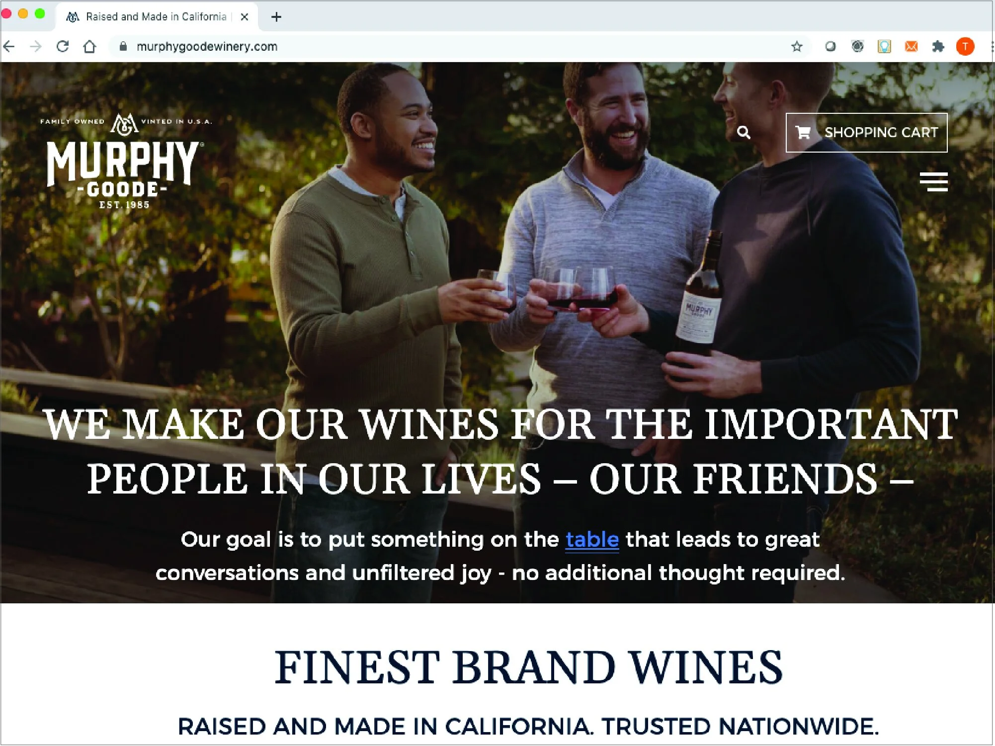 Murphy-Goode website development