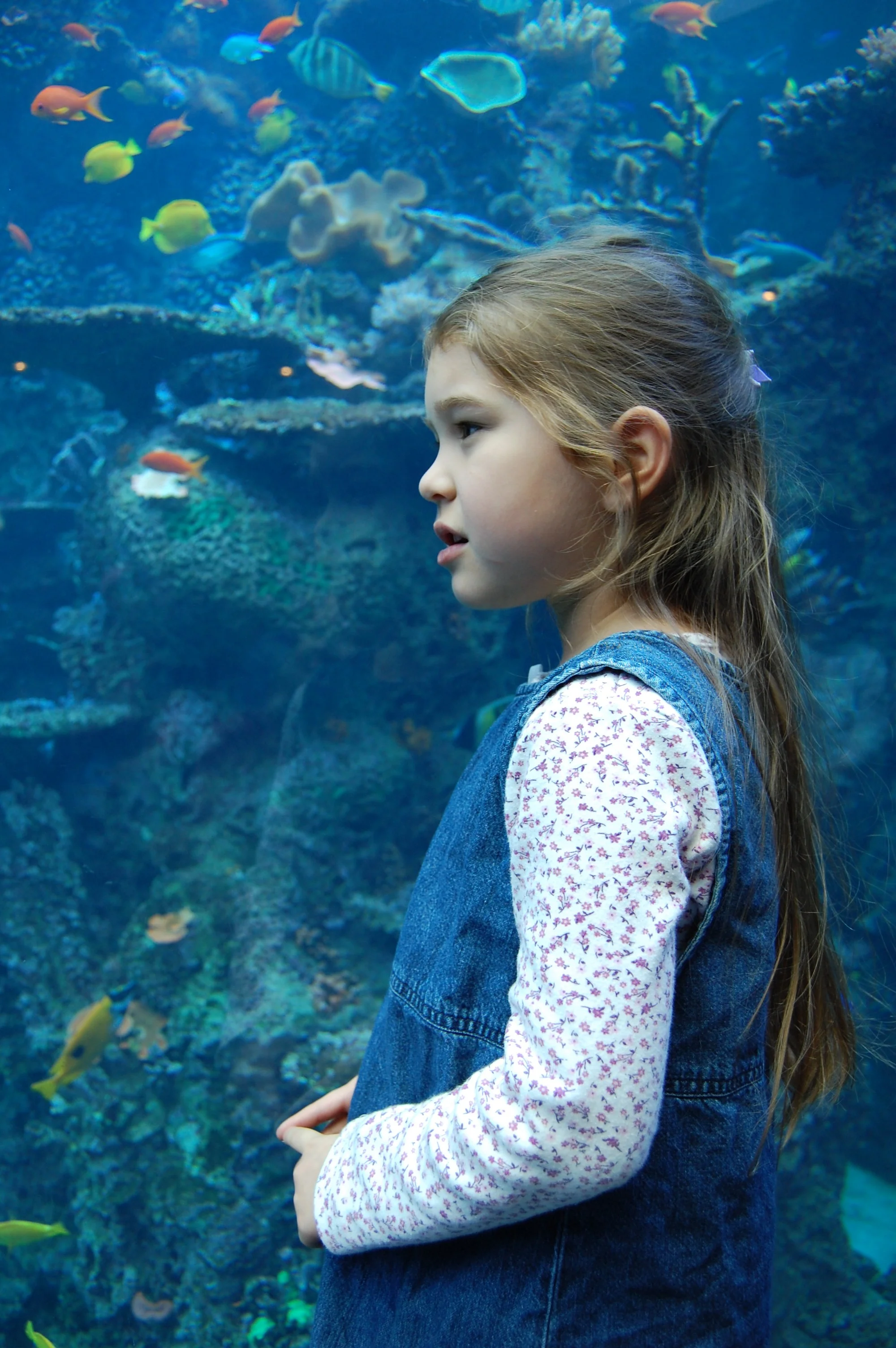 Why Our Family Travels