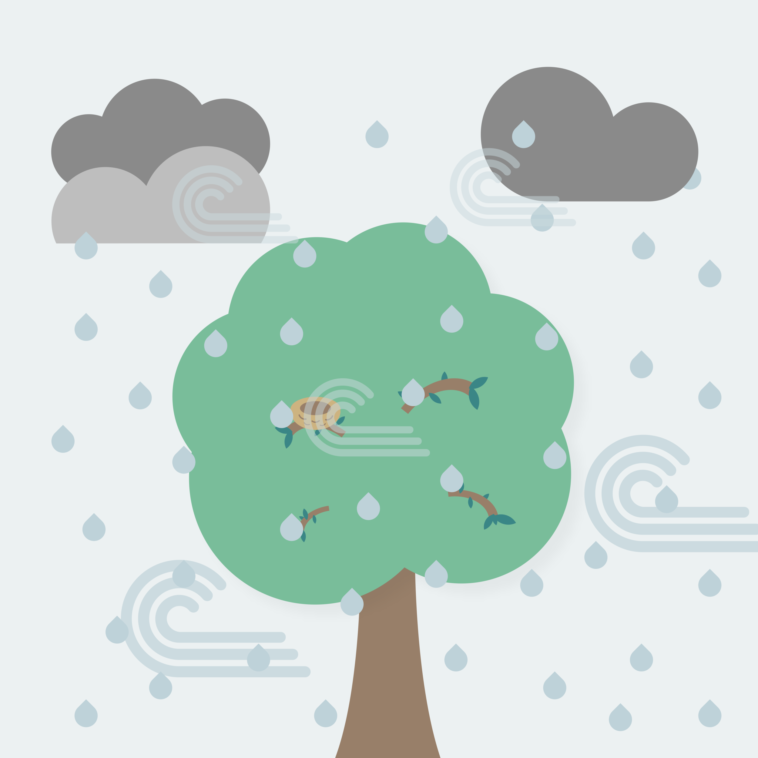 image1 (22) - wind rain on nest.PNG