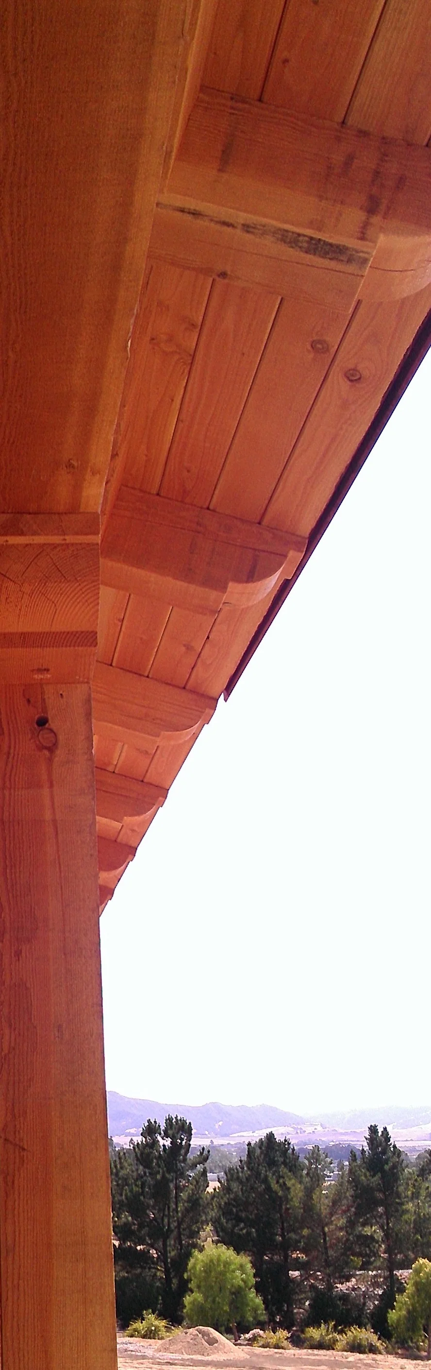IMAG0695 crop.jpeg