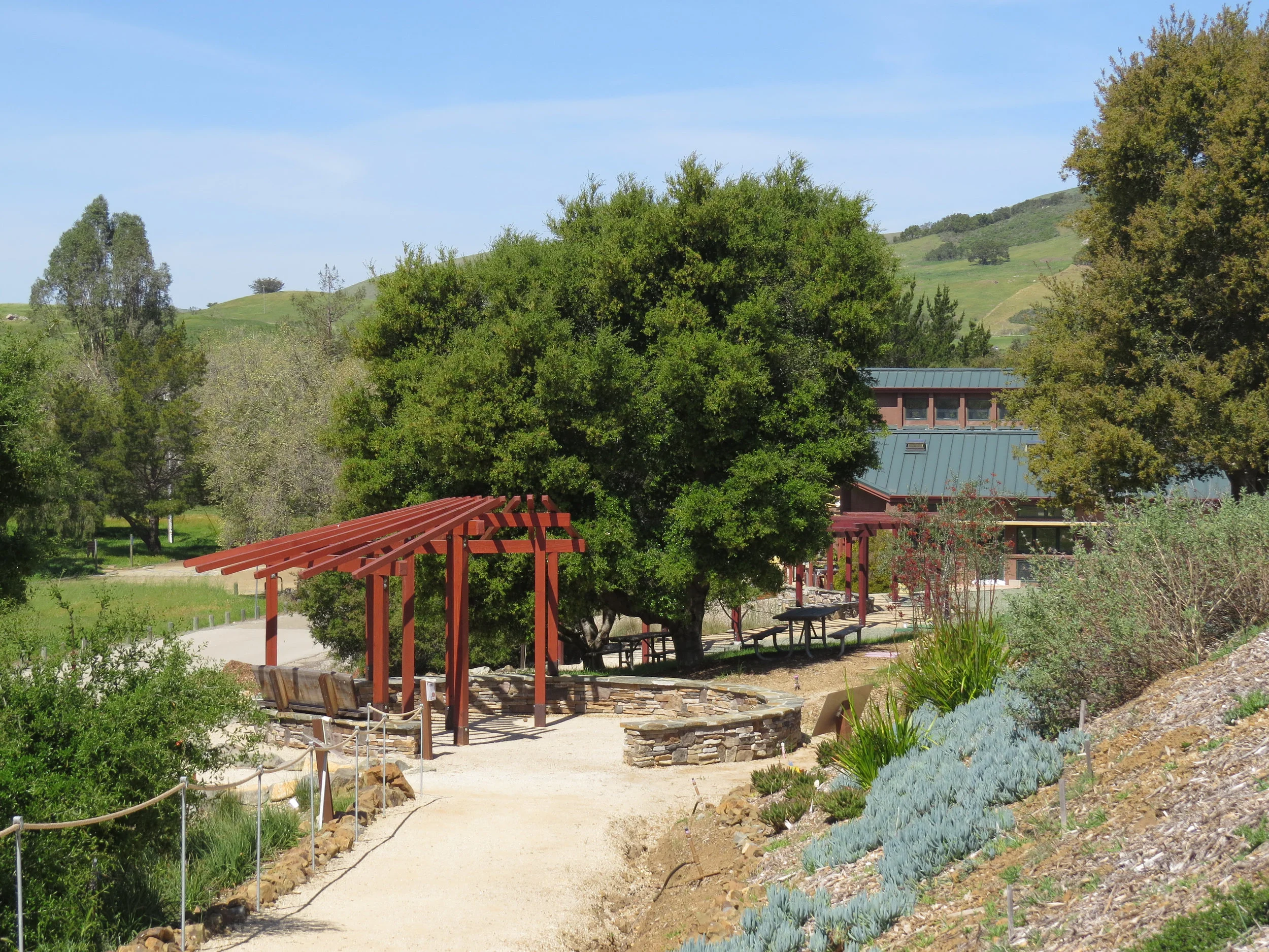 San Luis Obispo Botanical Gardens Fire Safety Pergola
