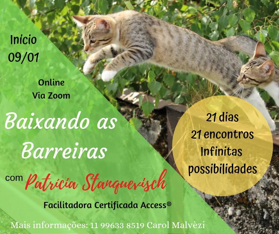 baixandobarreirasPat.jpg