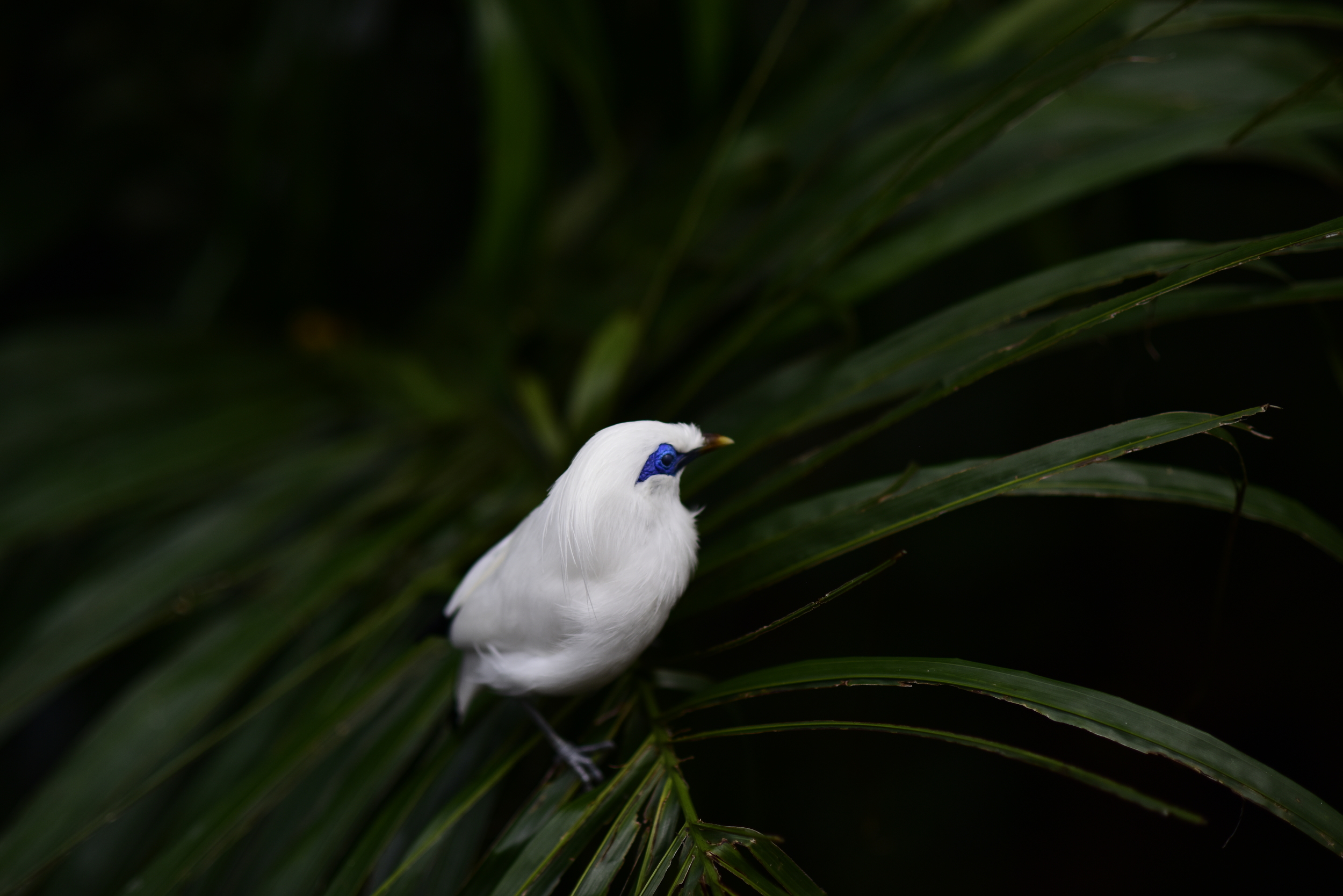 _DSC6220.JPG