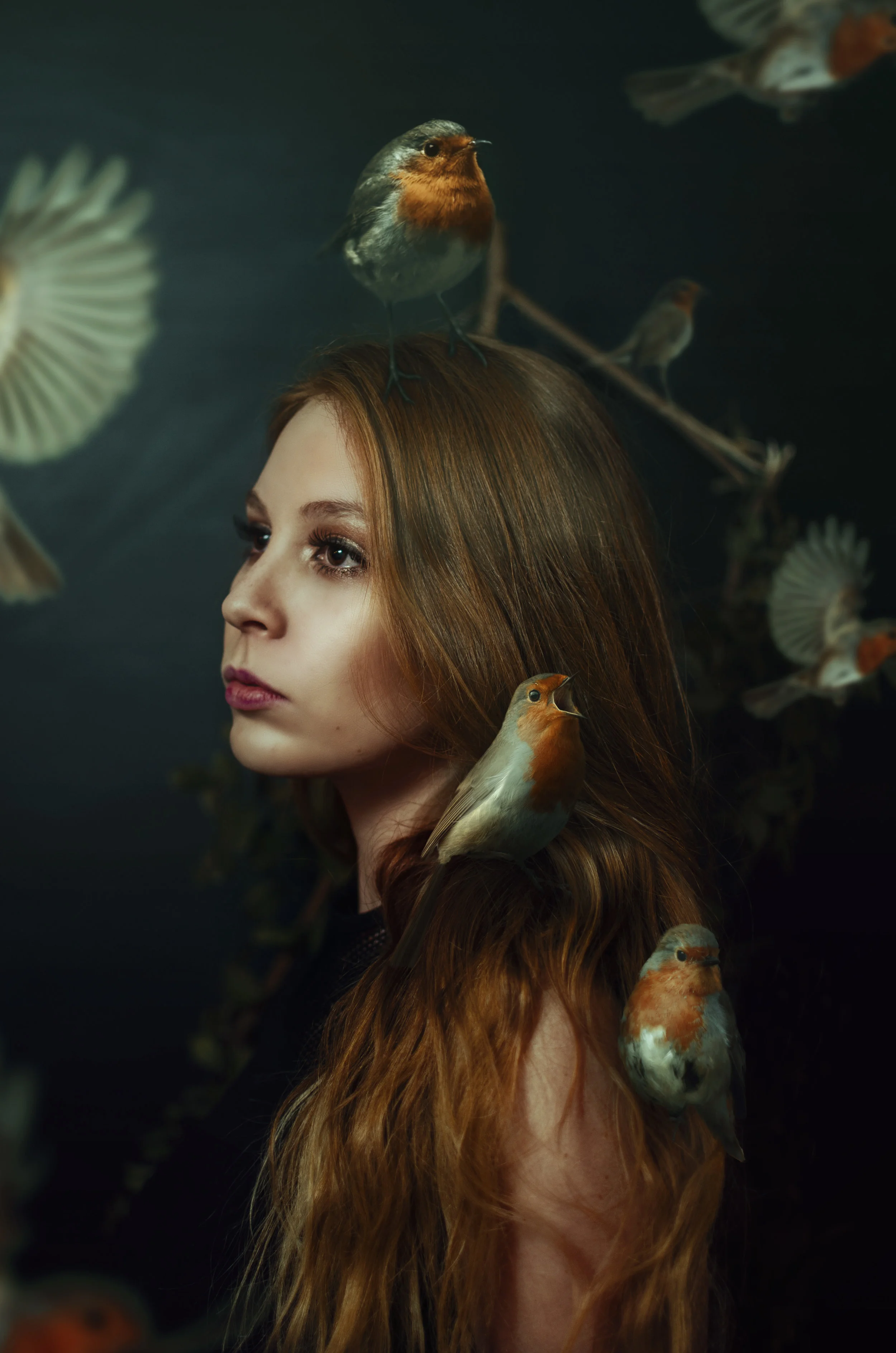 Piel y Plumas