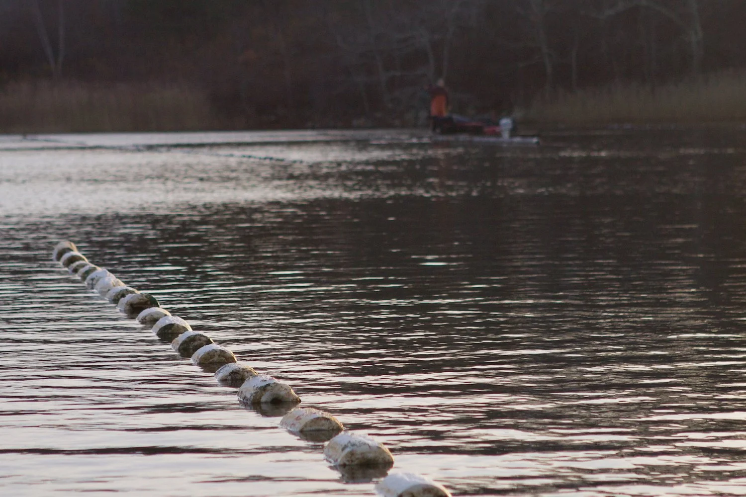 FIOF 1500px IMG_1109.jpg