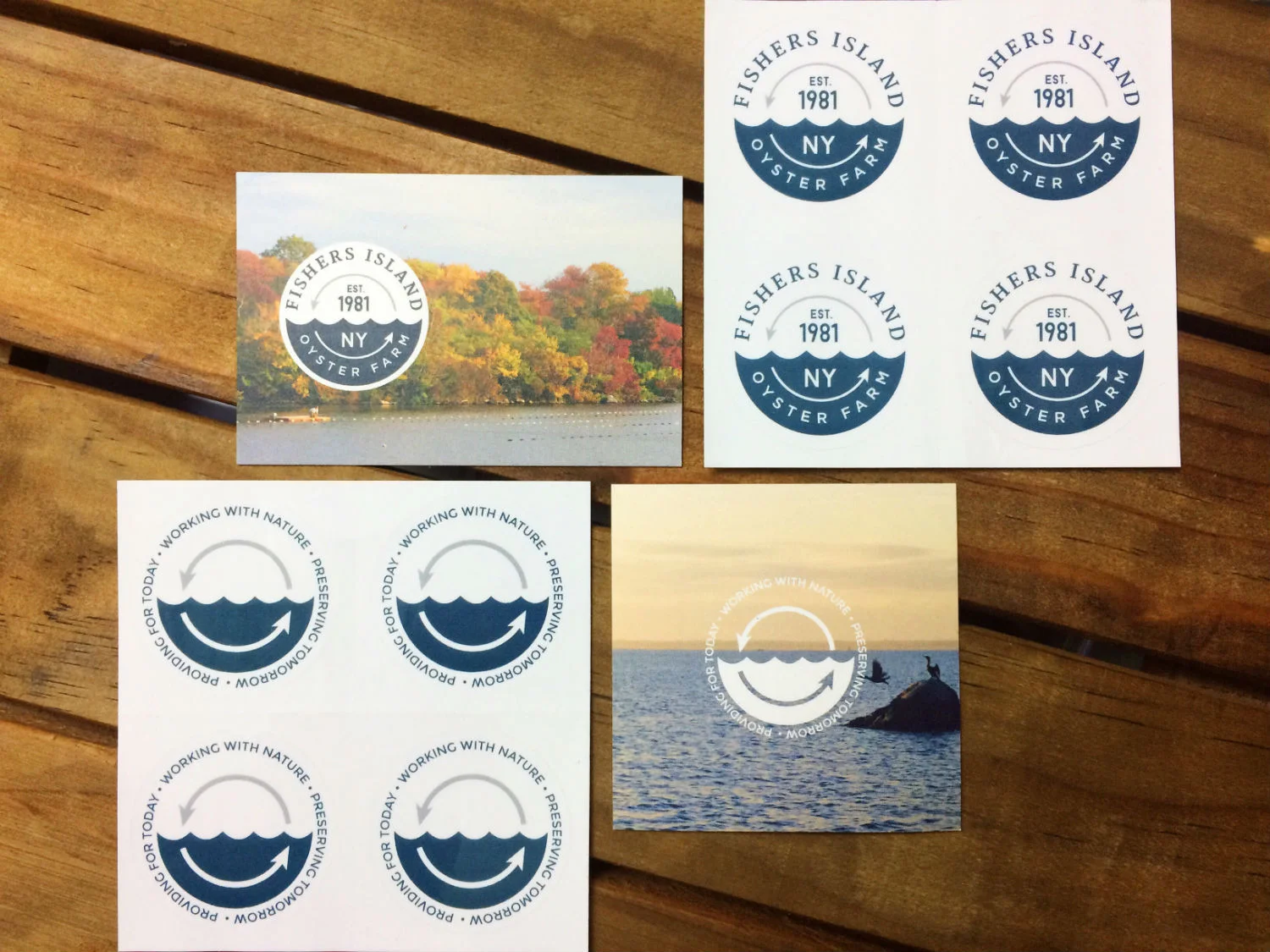 Rebranding Fishers Island Oyster Farm