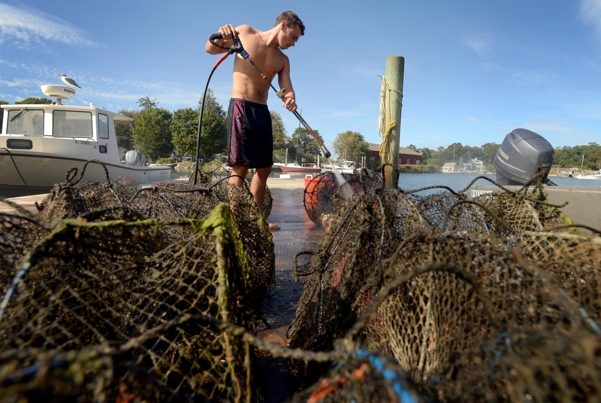 Here's what we mean by "farm without harm"