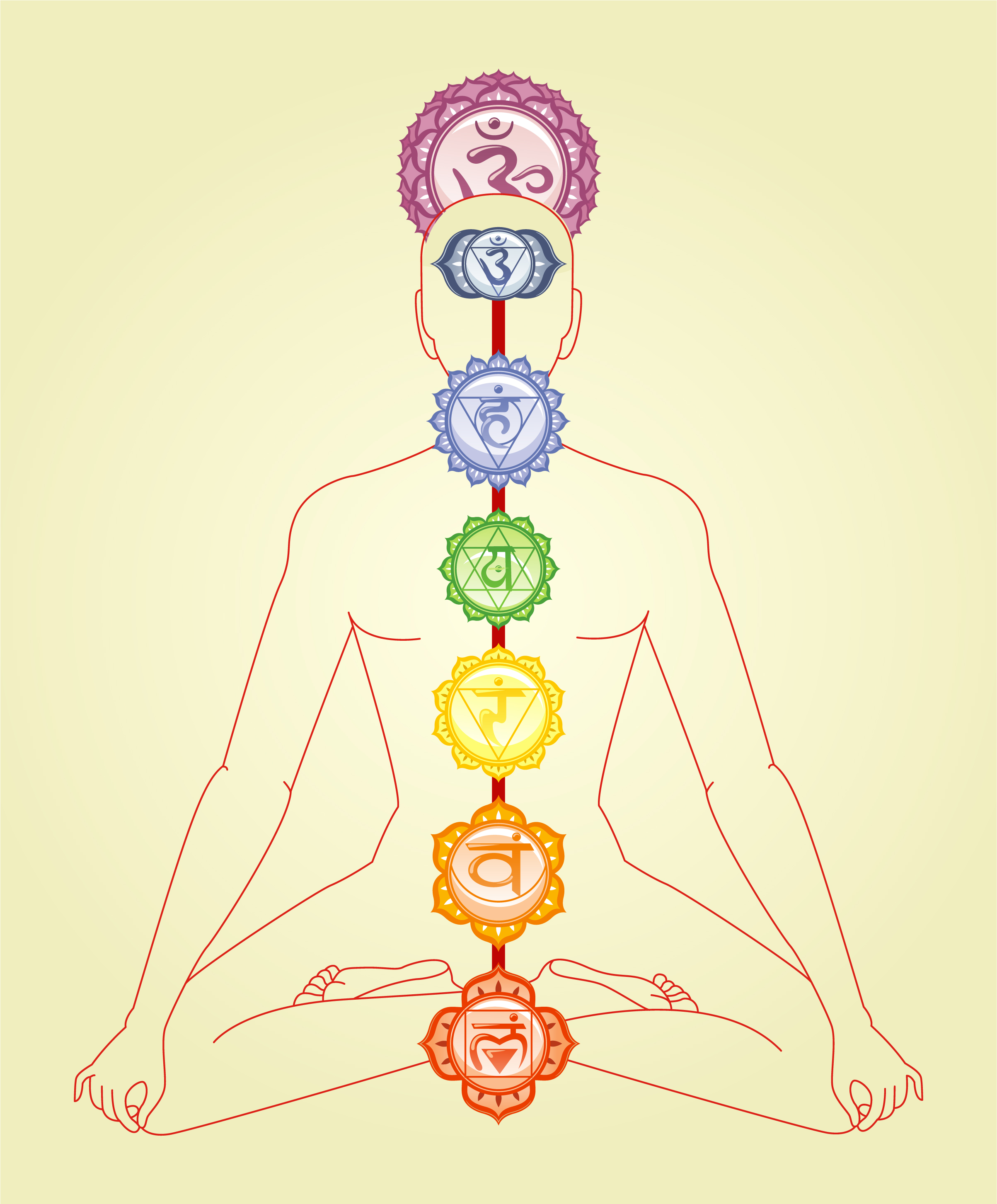 The universal chakra system