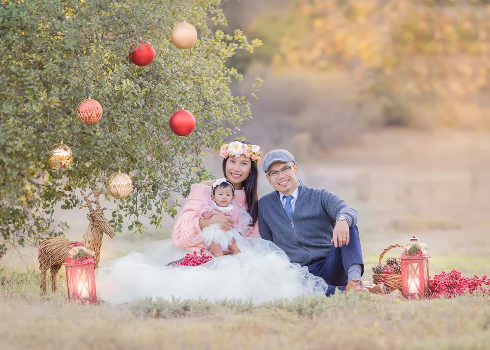 first Christmas themed photoshoot for this beautiful family