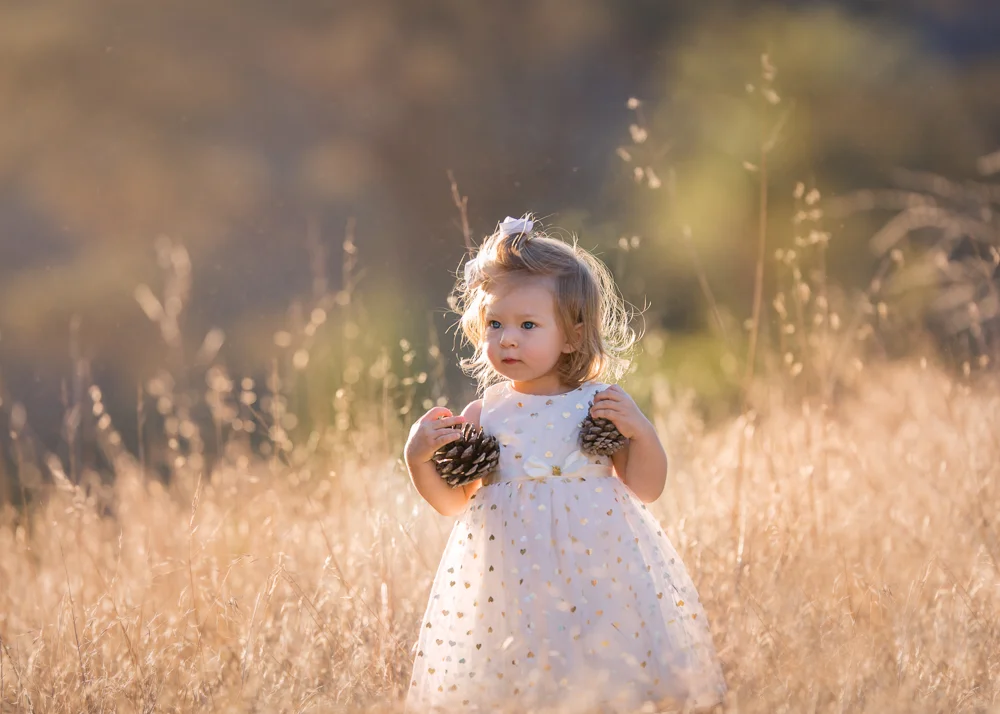 I love this golden light 