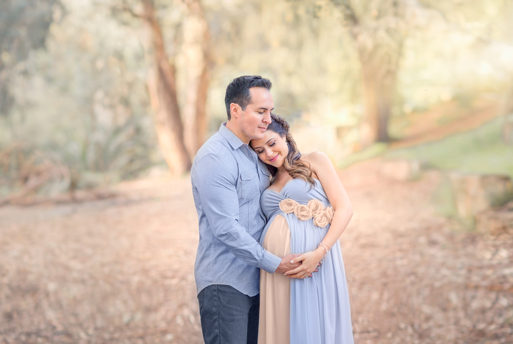 los Angeles Fine Art maternity photography