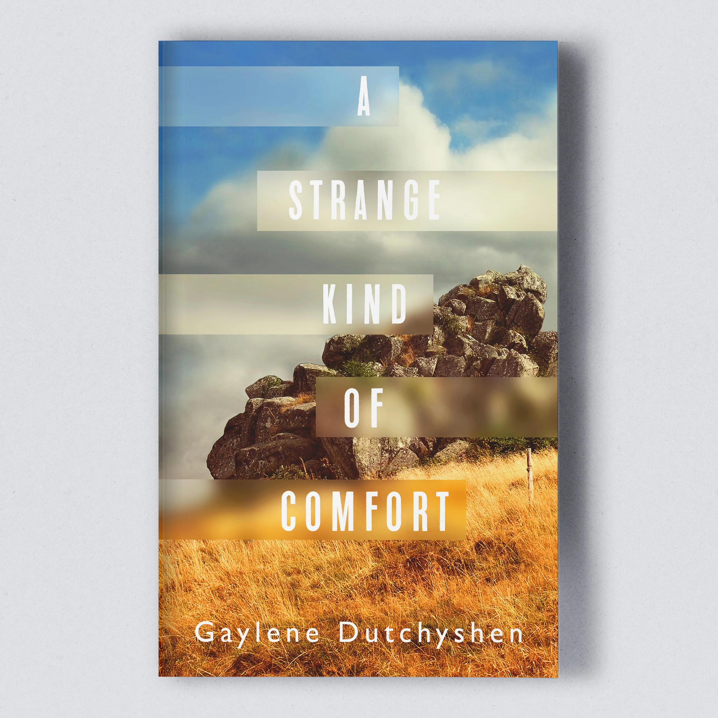 SophiePaasLang_BookCoverDesign_AStrangeKindOfComfort.jpg