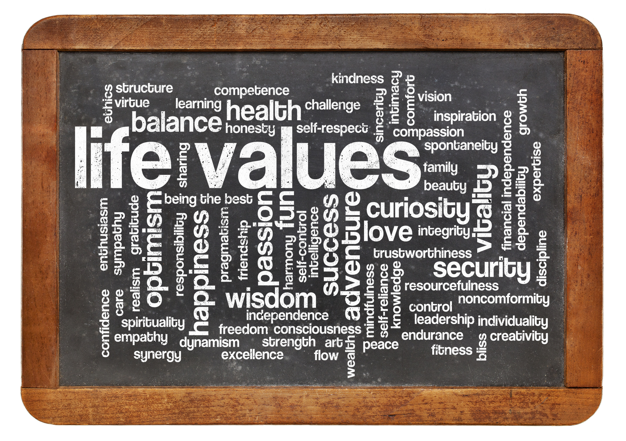 Possible values. Life values. Values and Lifestyles картинка. Values in Life. A possible Life.