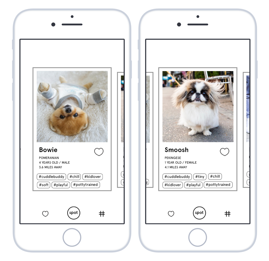 spot feed scroll.png