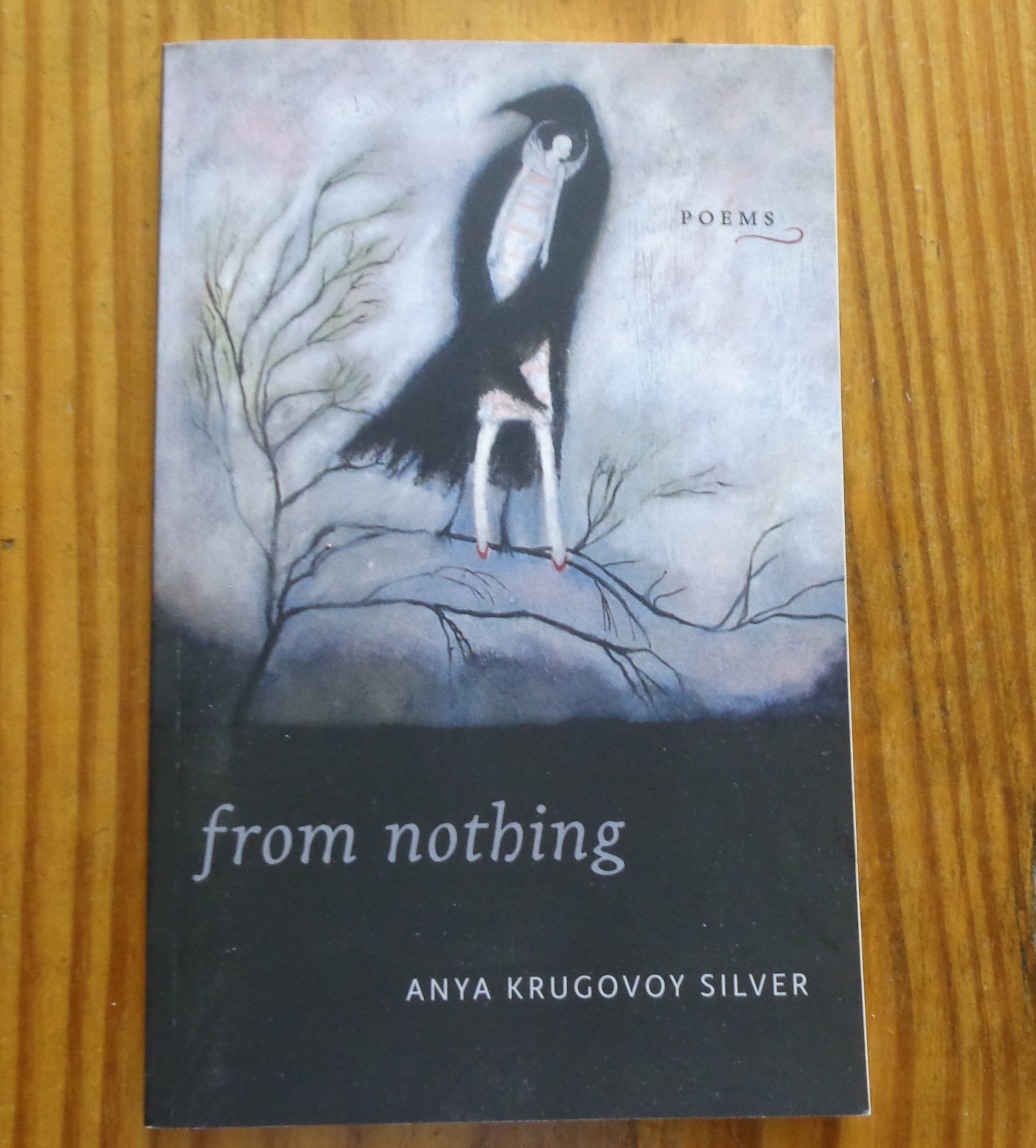 Cover Art for "From Nothing", poetry by Anna Krugovoy Silver