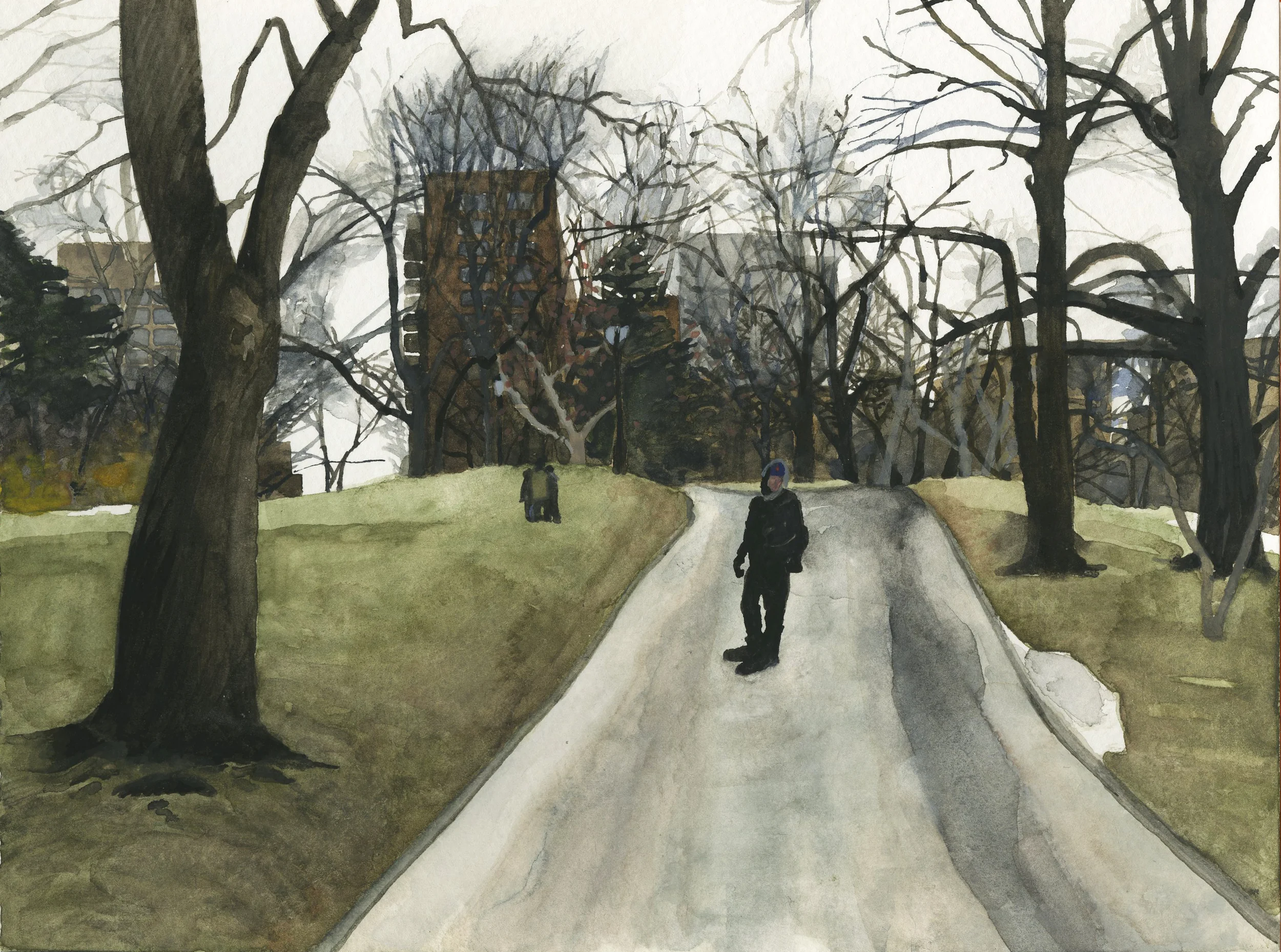 Central Park in Winter