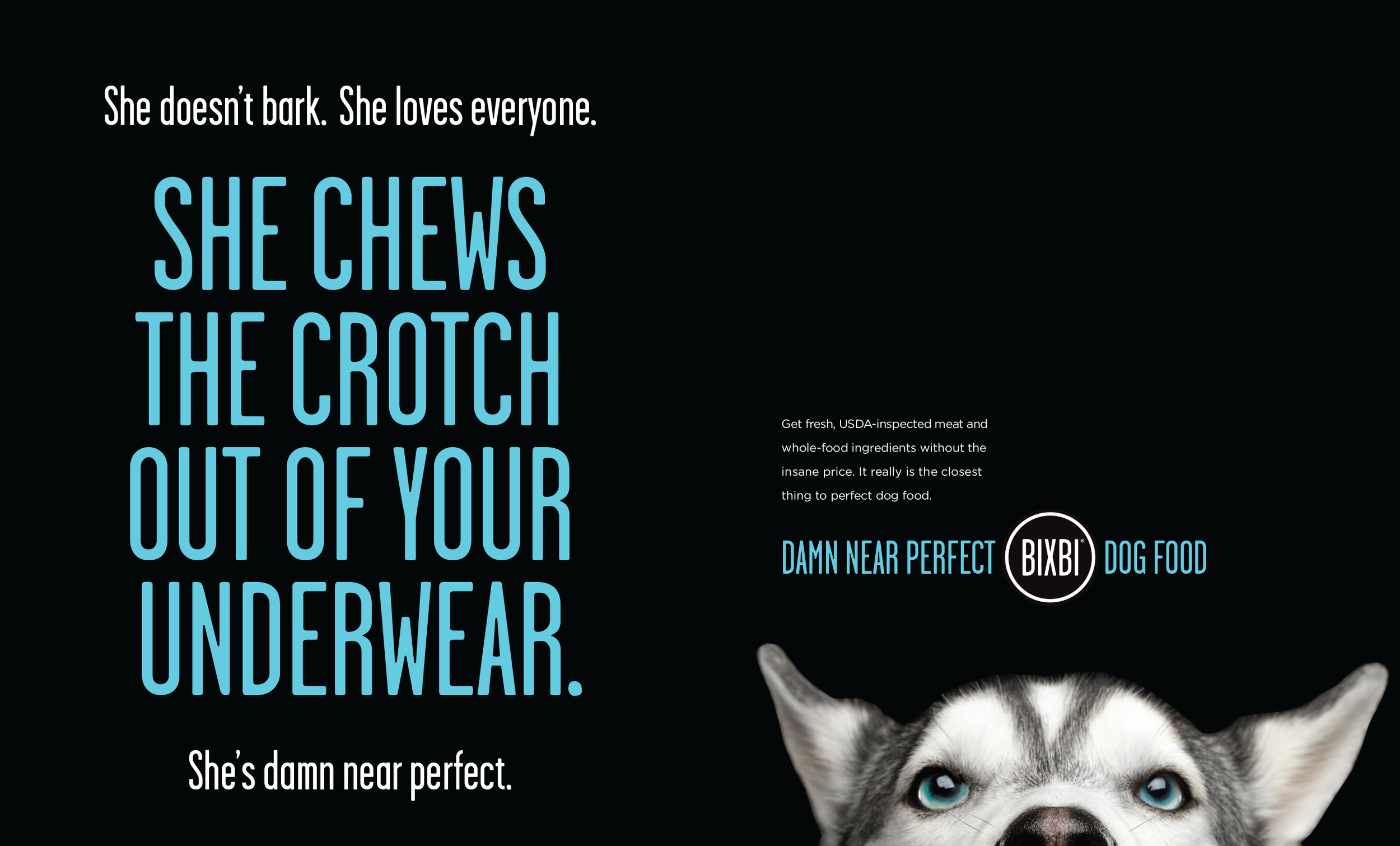 BIXBI Dog Food "Husky"