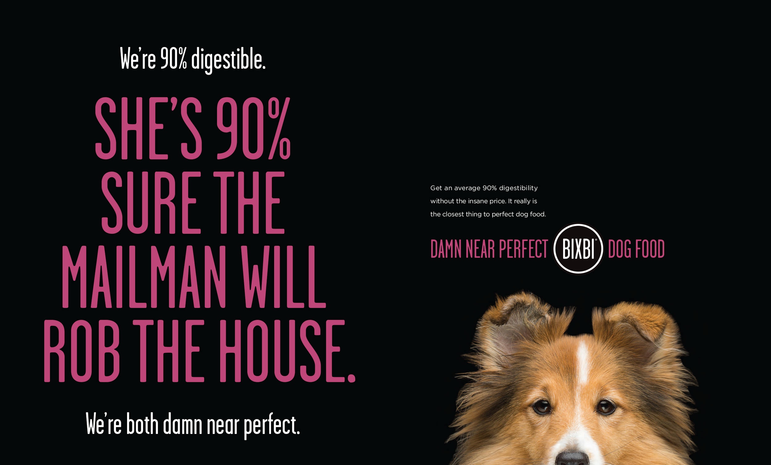 BIXBI Dog Food "Sheltie"