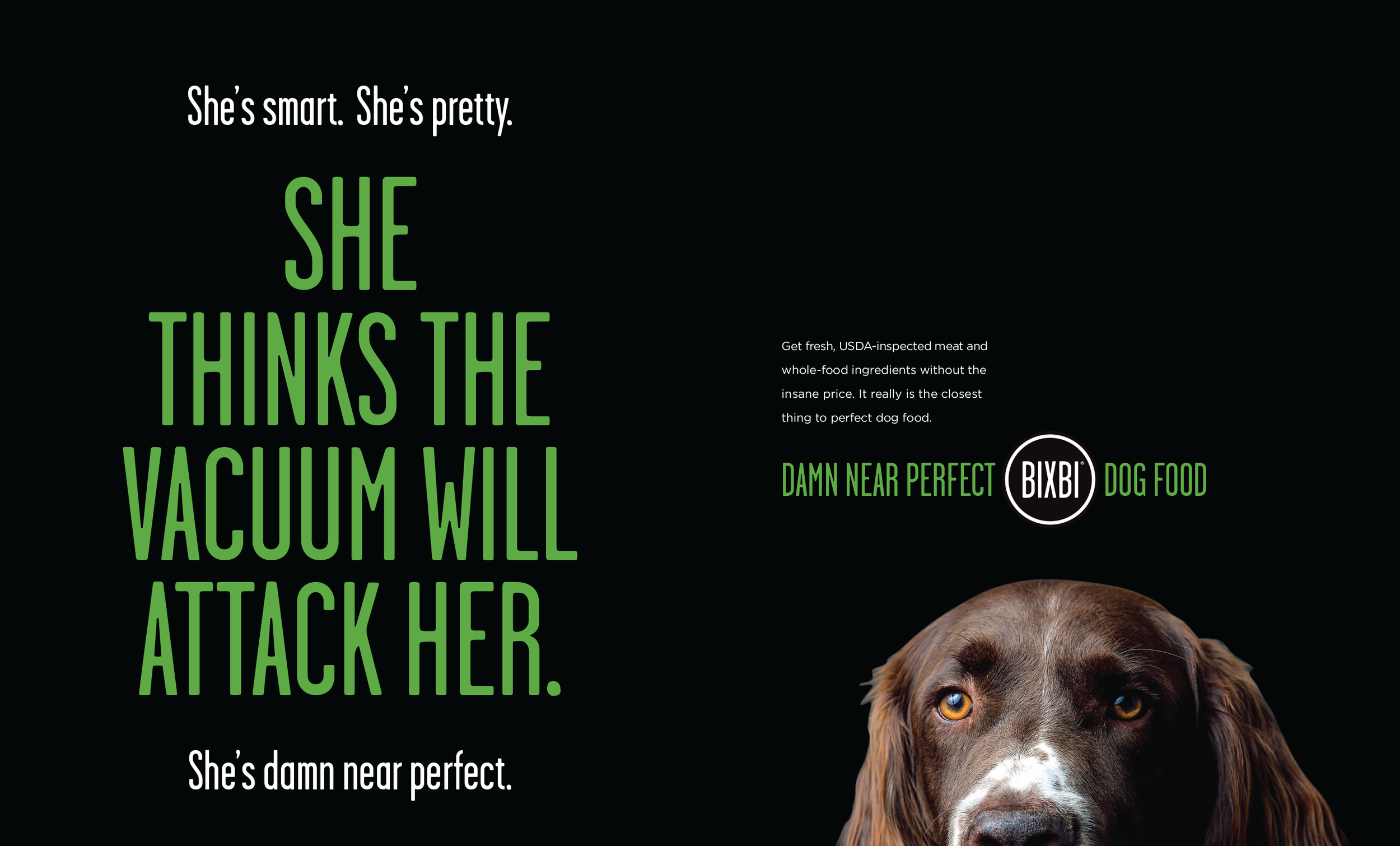 BIXBI Dog Food "Spaniel"