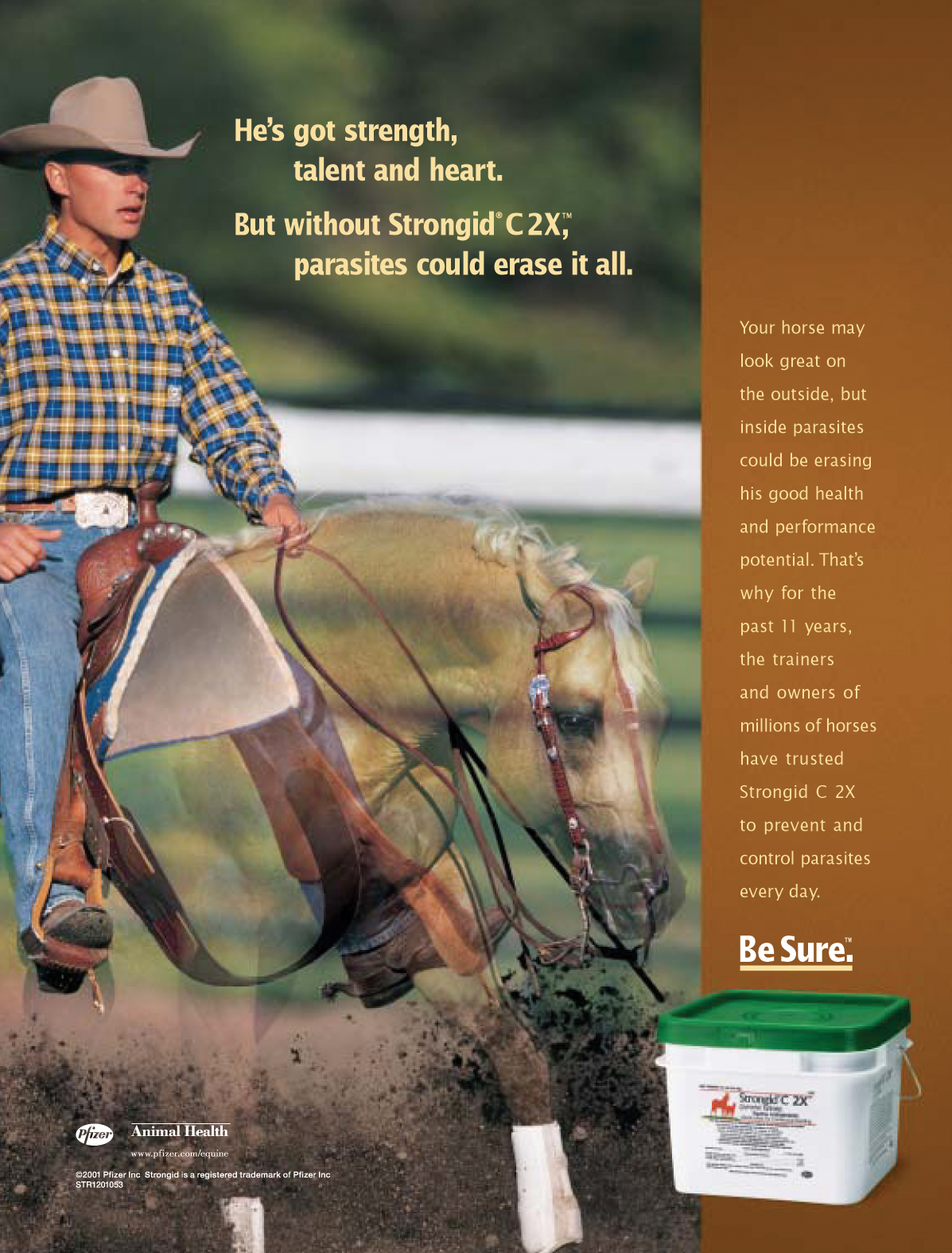 Pfizer Animal Health Strongid "Bergen"