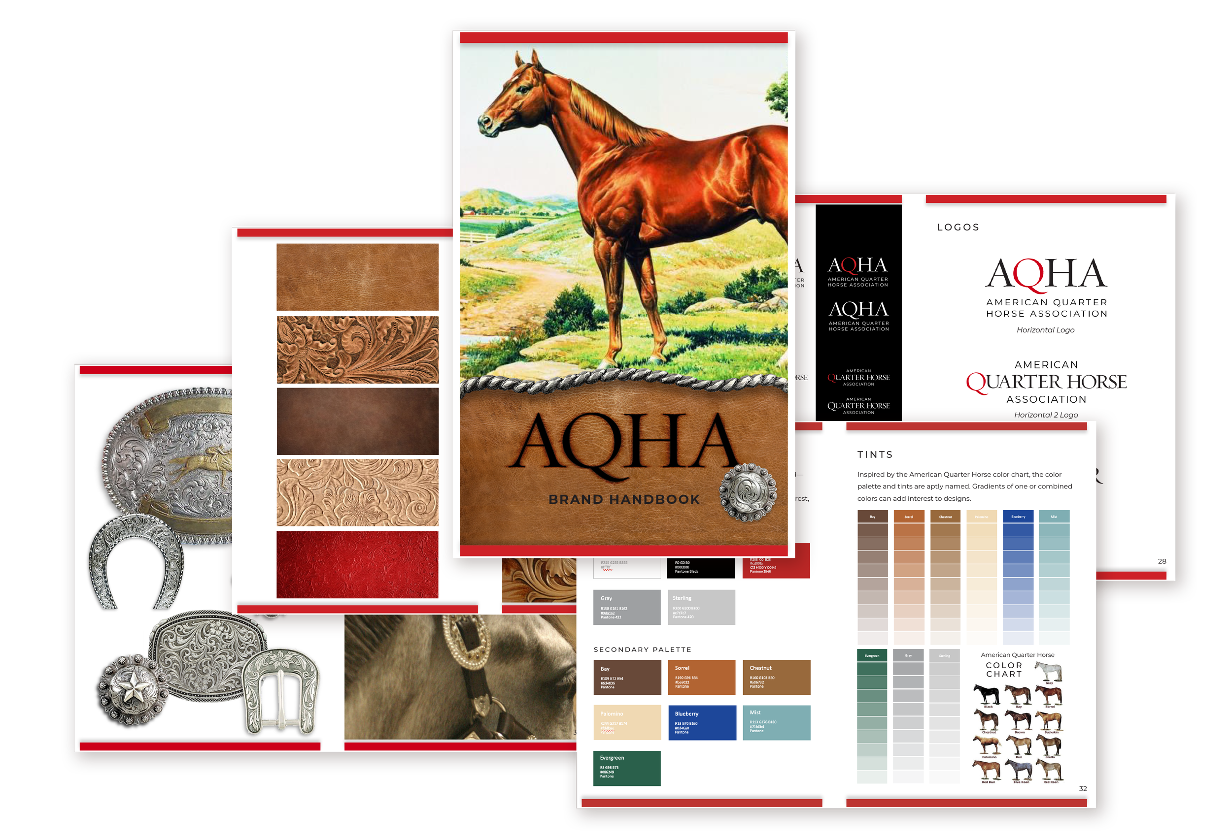 American Quarter Horse Association Rebranding