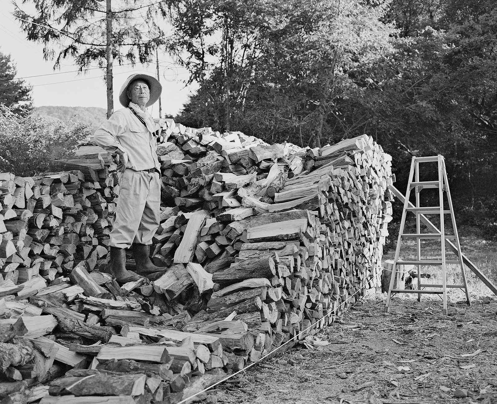 Fire Wood