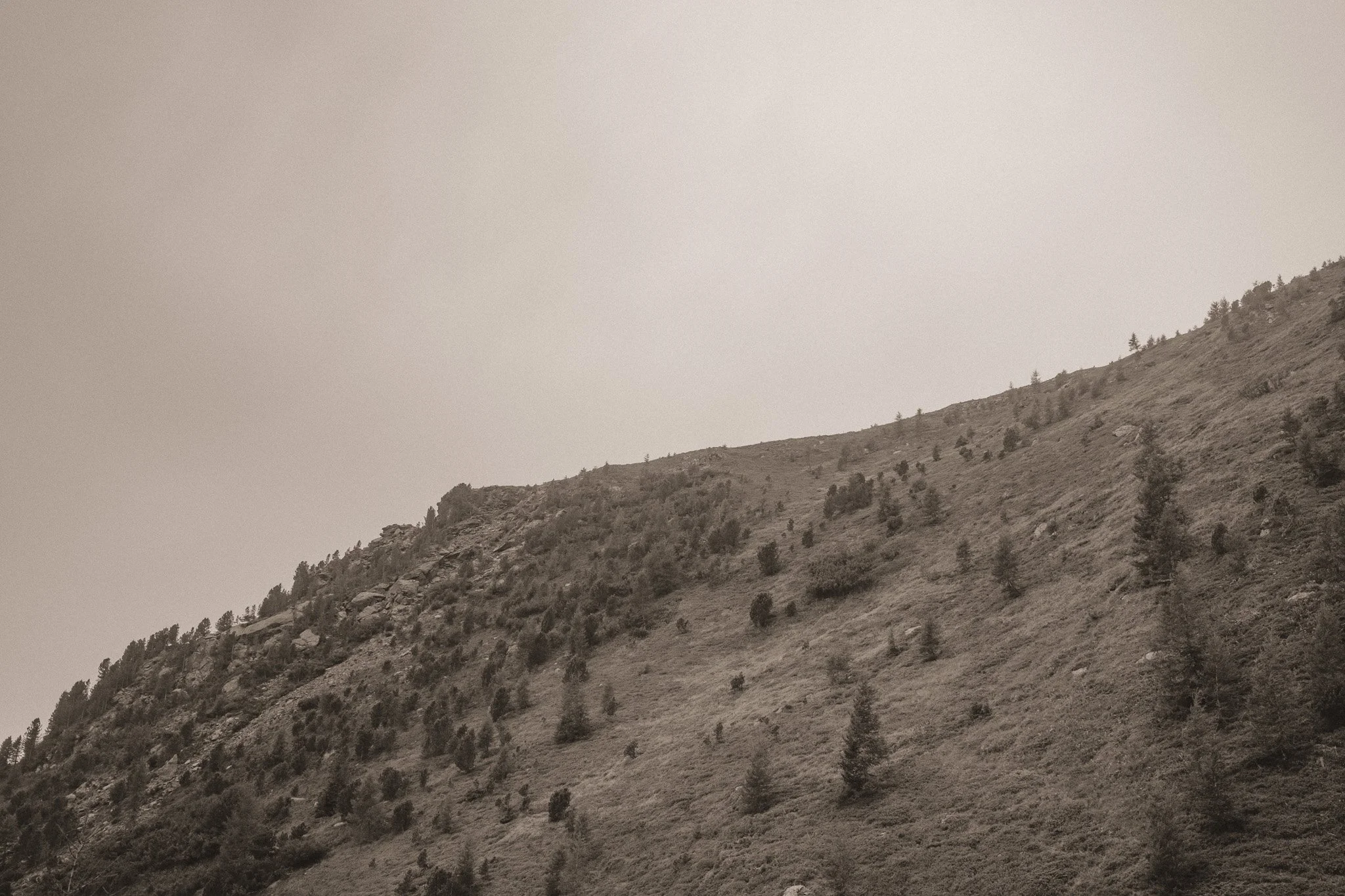 DSCF6690.jpg