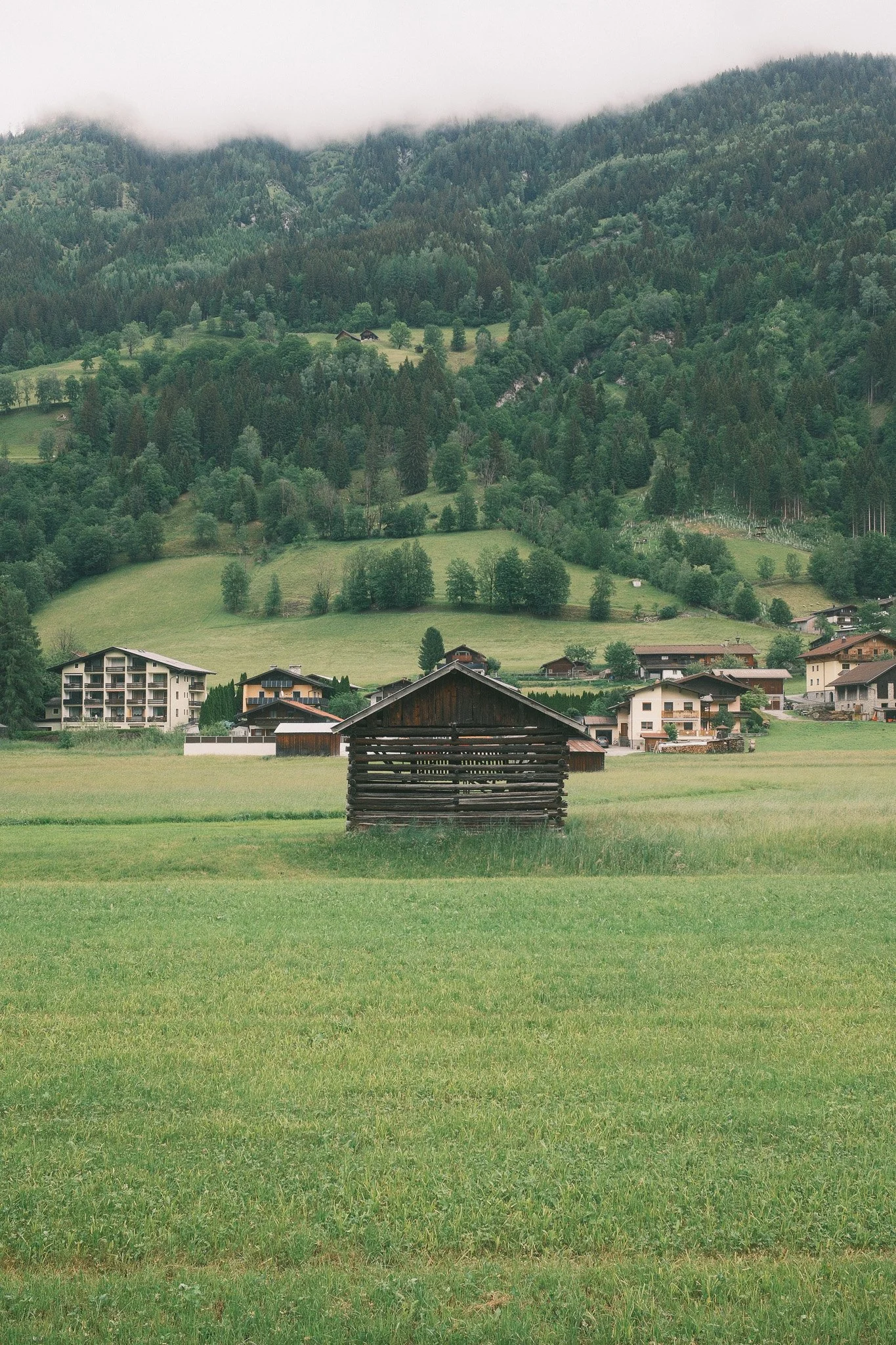 DSCF4487.jpg