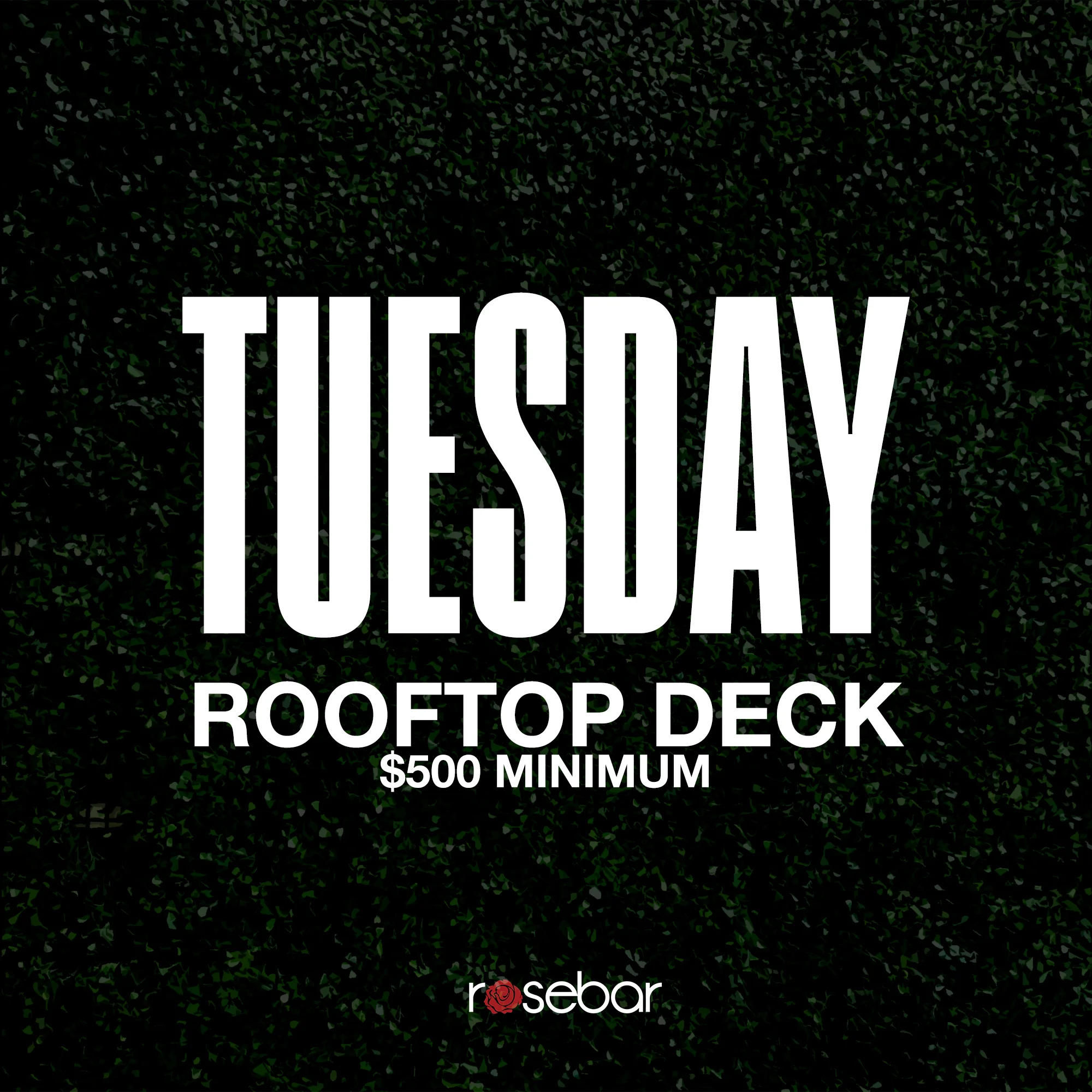 Tuesday-DeckOnly.jpg