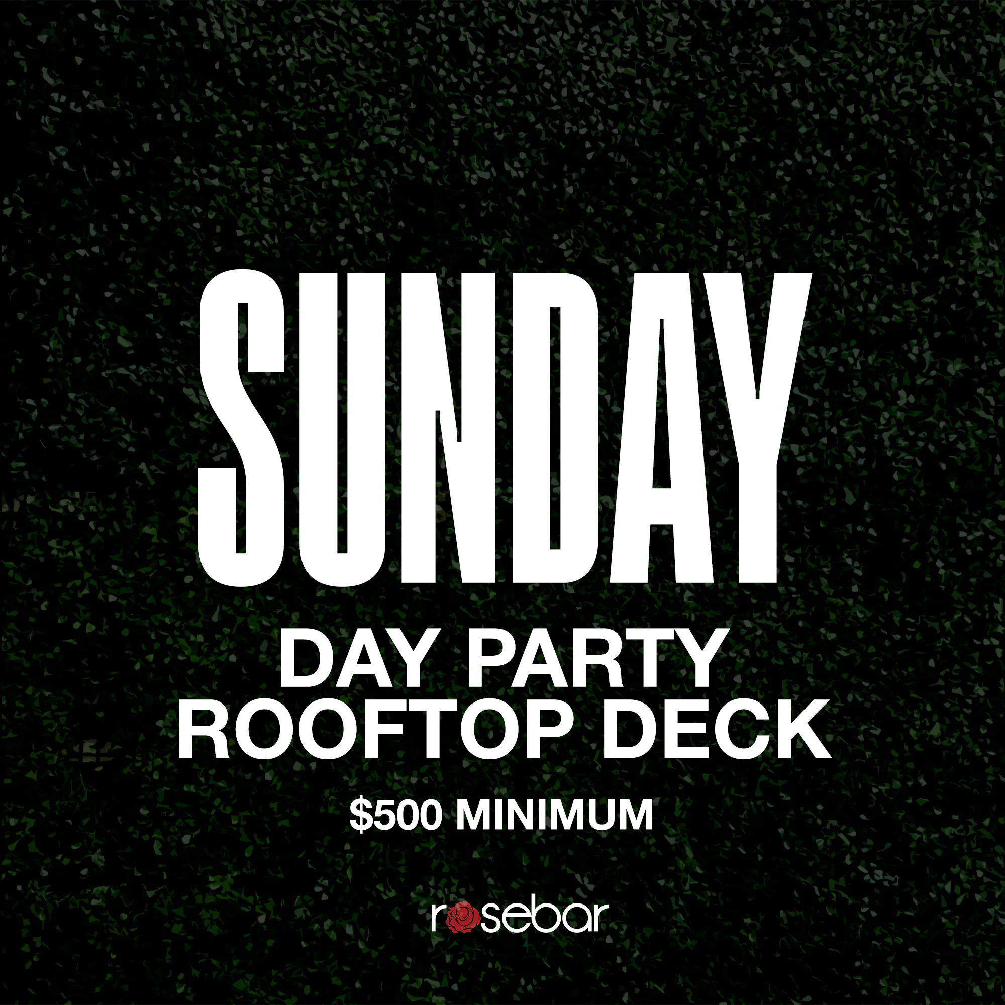 Sunday-DeckOnly.jpg