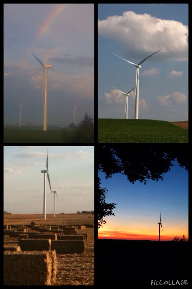 These giants make interesting focal points in pictures. Erin, my husband, took this grouping.