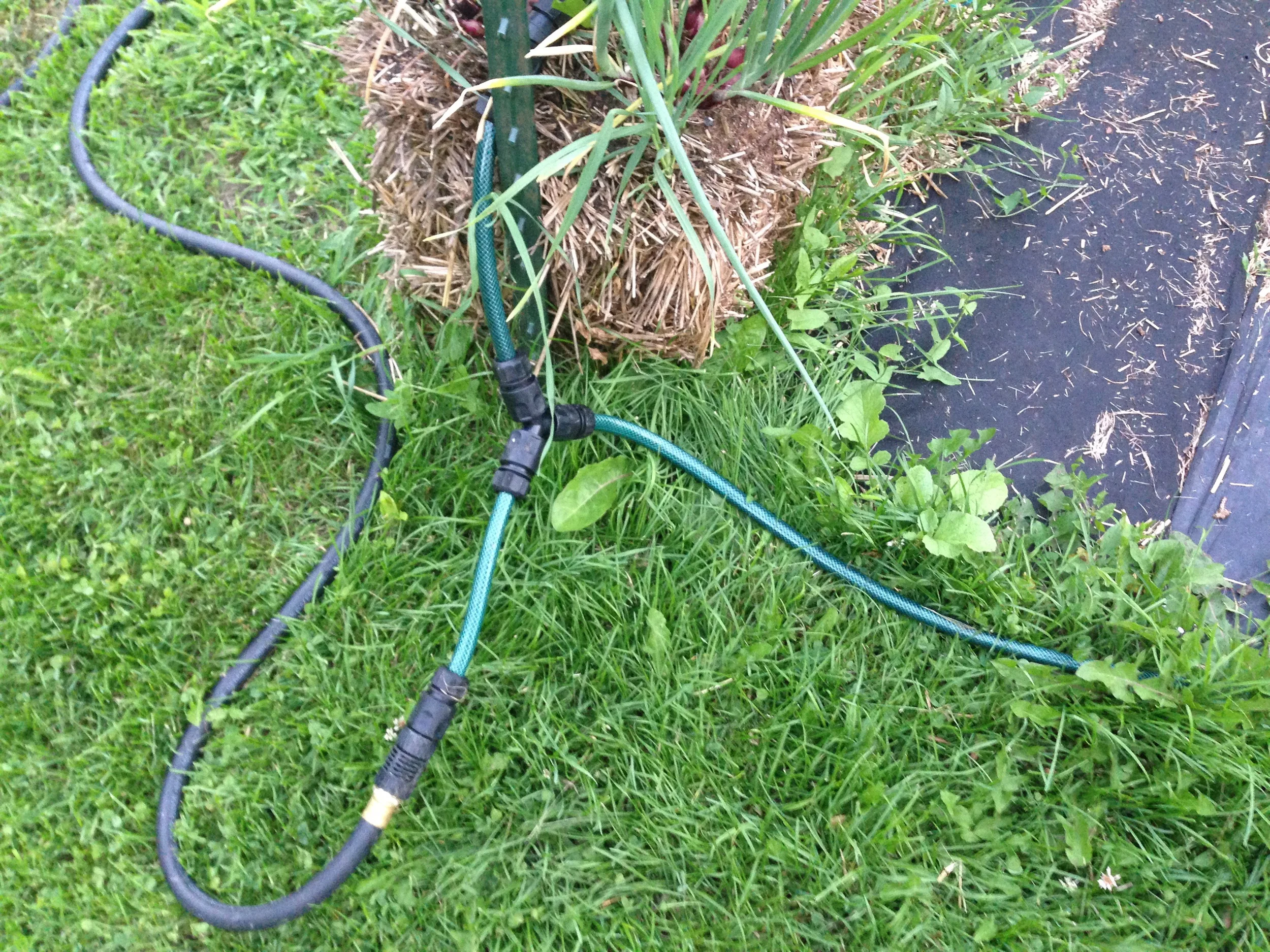 The new set up was very easy to get into place. My 13 year old had the y connectors hooked up in no time. My husband cut all the hose with a pair scissors.