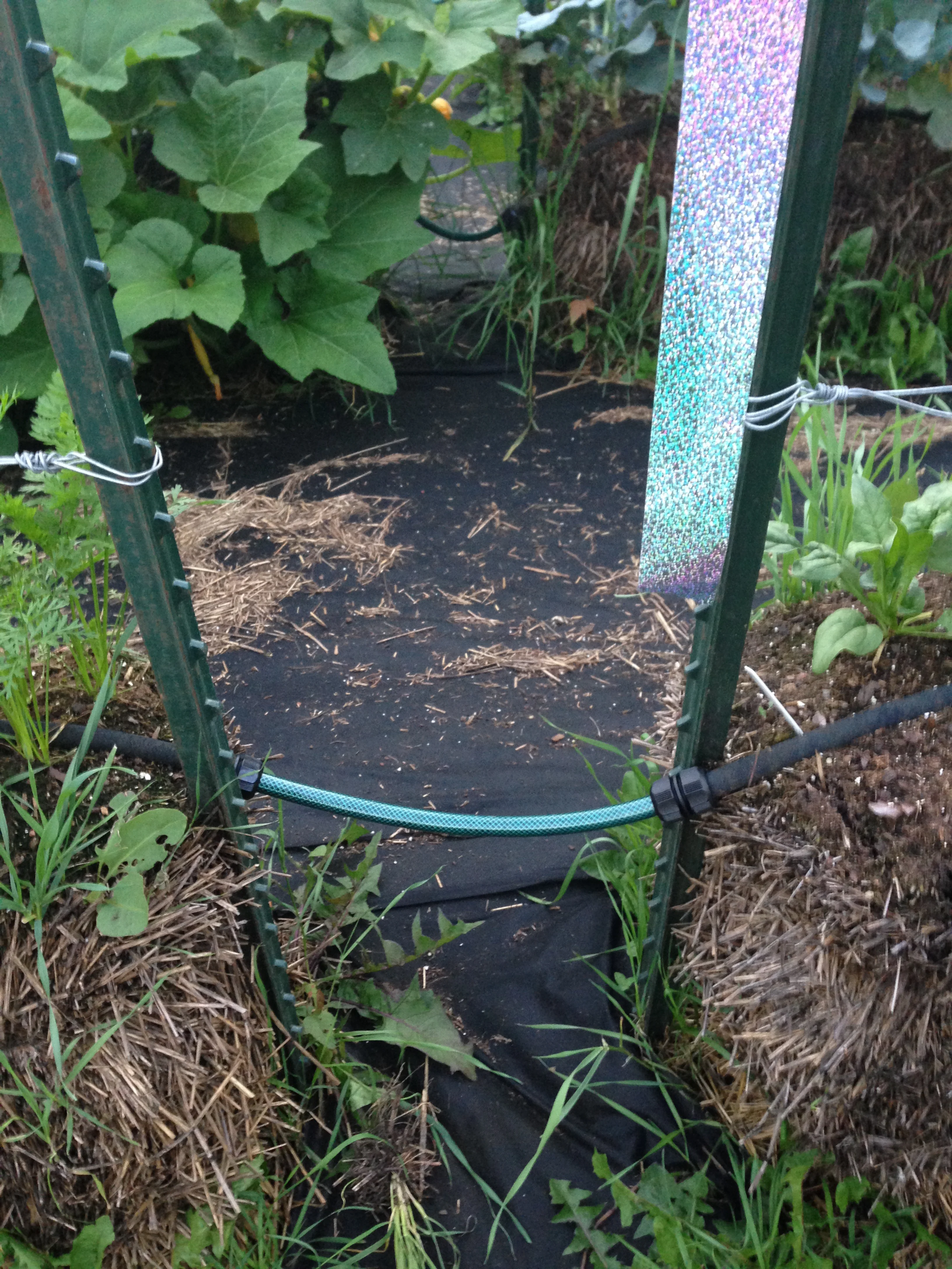 This has cut down on puddles between rows.