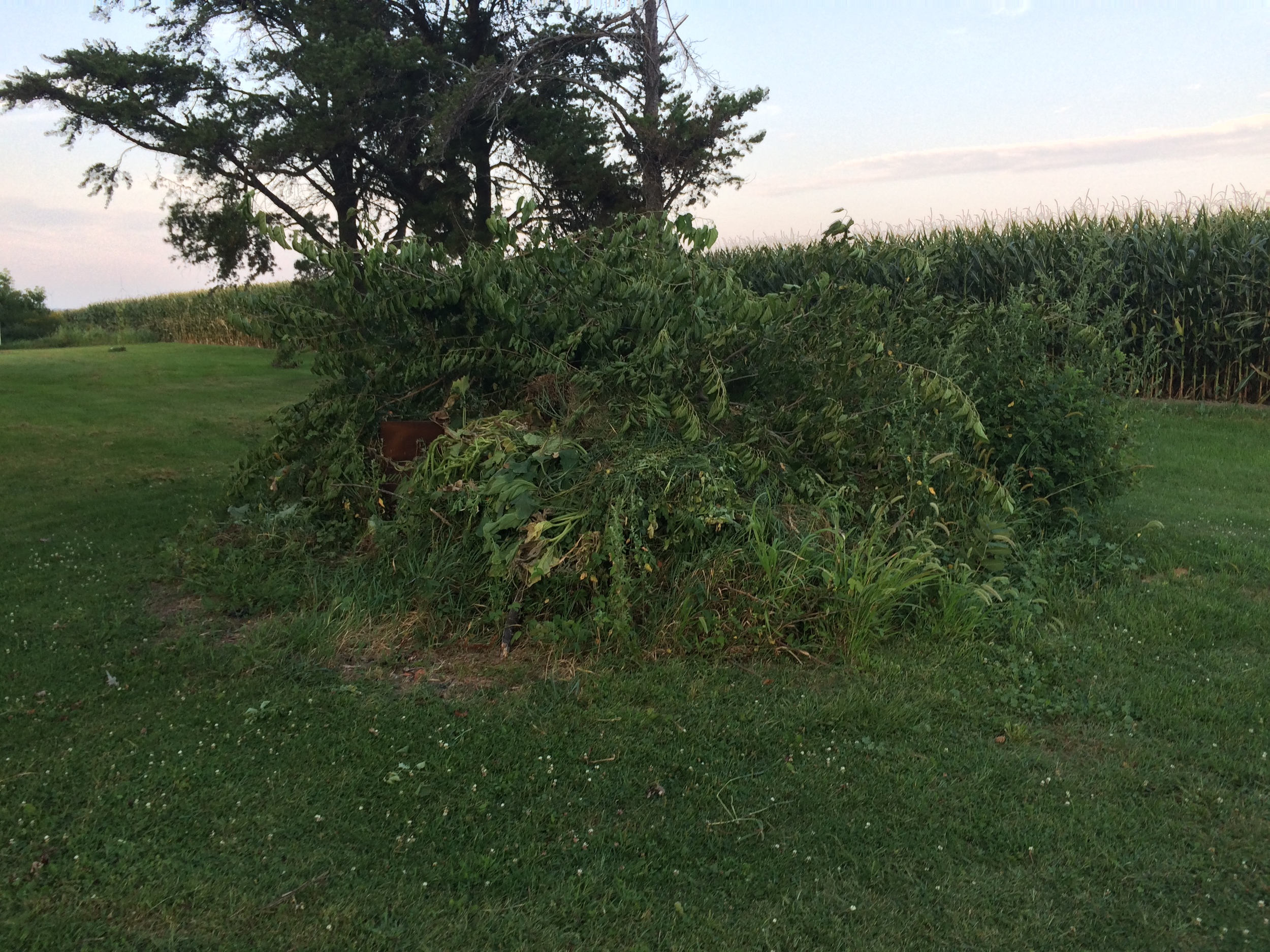 This has all been gathered over the course of just this summer. It will make for an impressive fire come late fall or early spring.