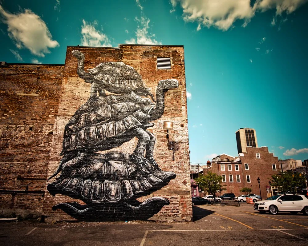 Roa