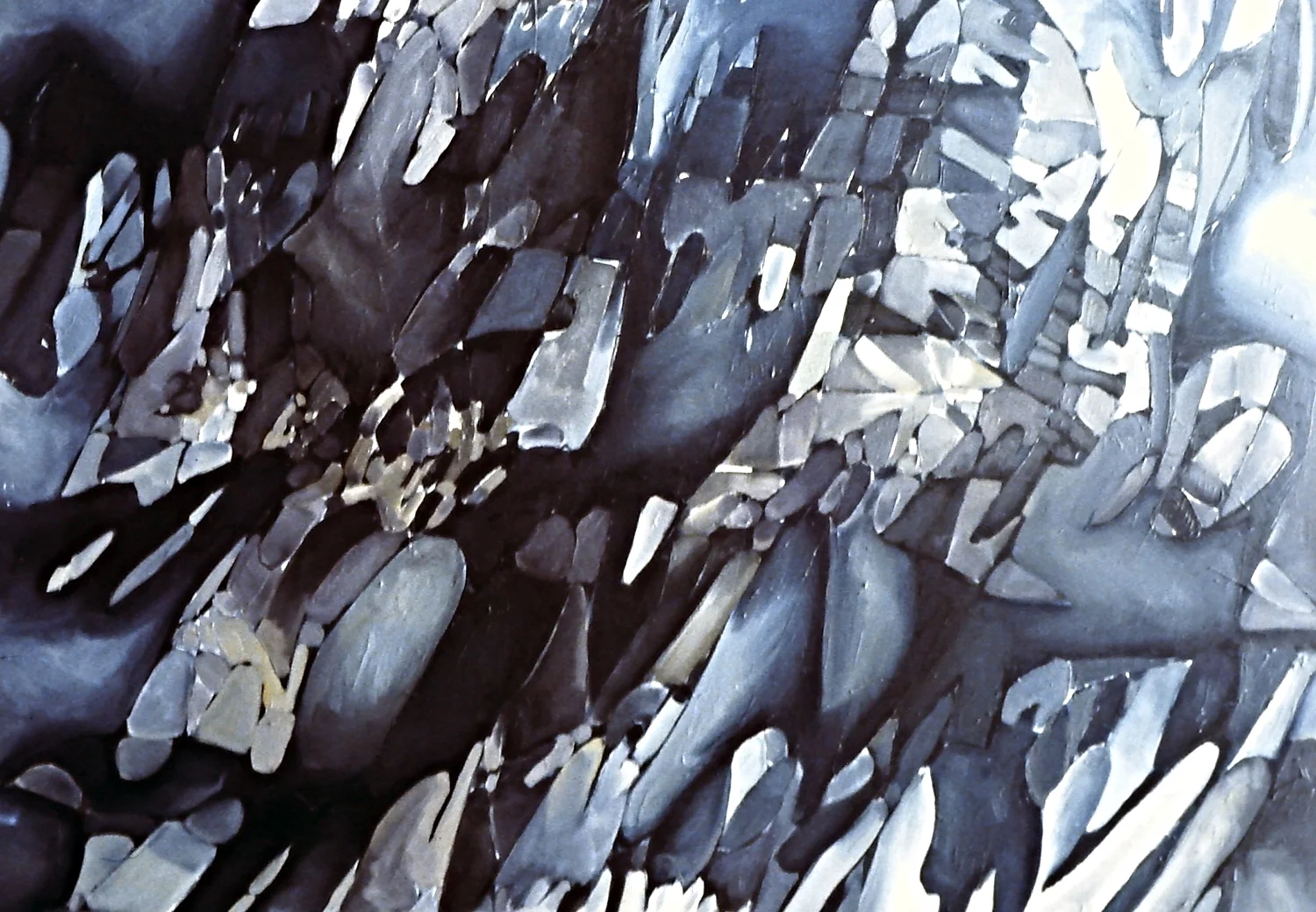 pic35.jpg