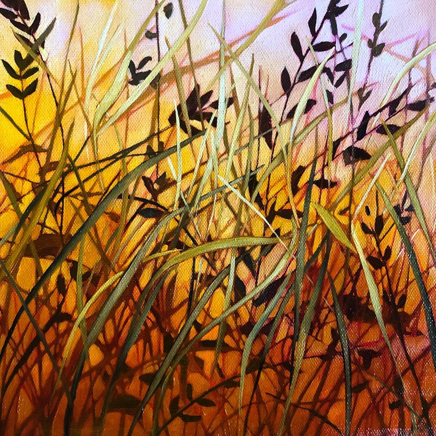 Missing the warmth of the sun, and that evening glow!
.
.
.
10&rdquo;x10&rdquo; Oil on Canvas
.
.
.
.
.
#vancouverislandartist #vancouverislandart #nanaimo #pnw #landscape #garden #design #instaart #interiordesign #art #grass #sunset #sunrise #warmth