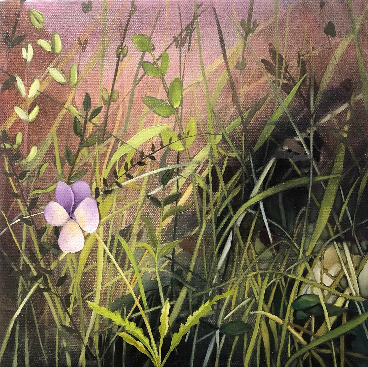 #mondaymorning #spring #garden #shadows #violet #dark #oilpainting #art #painting #design #weedlife #interiordesign #moody #instart #littlegarden #vancouverisland #vancouverislandartist #nanaimo #lovewhereyoulive #supportlocal #mumlife #originalart 
