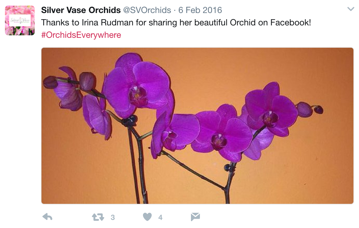An example of user-generated content