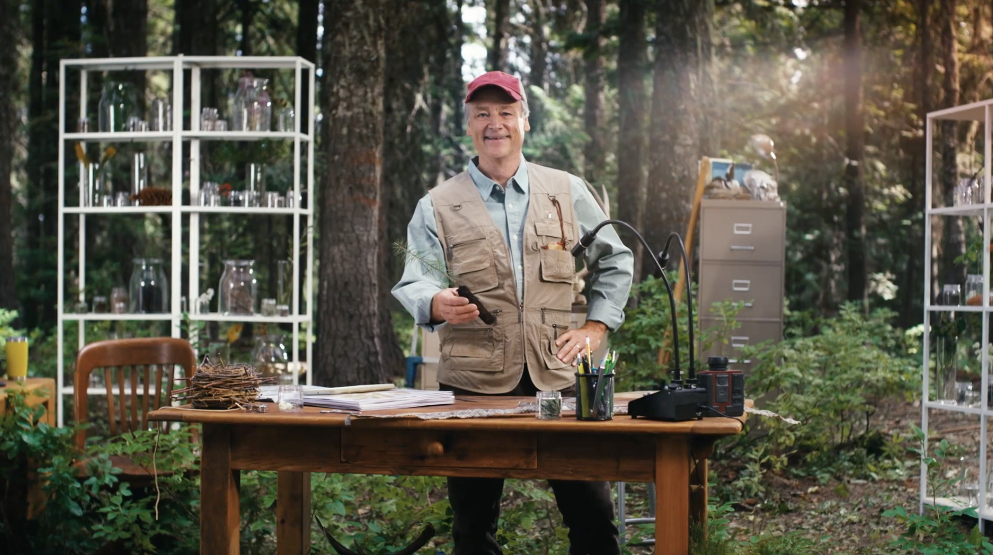 Working Forest Initiative