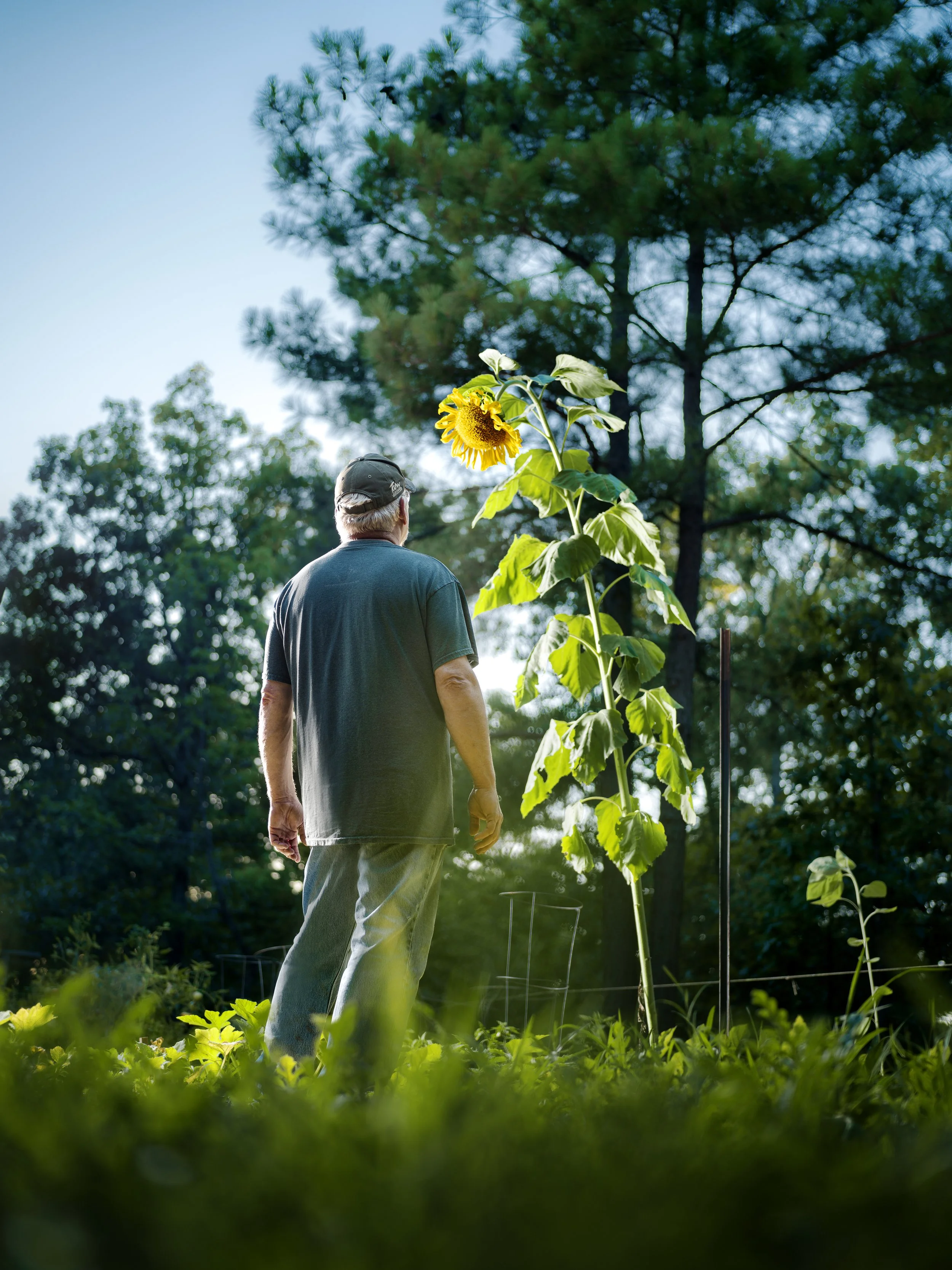 Dad and the Giant Sunflower.jpg