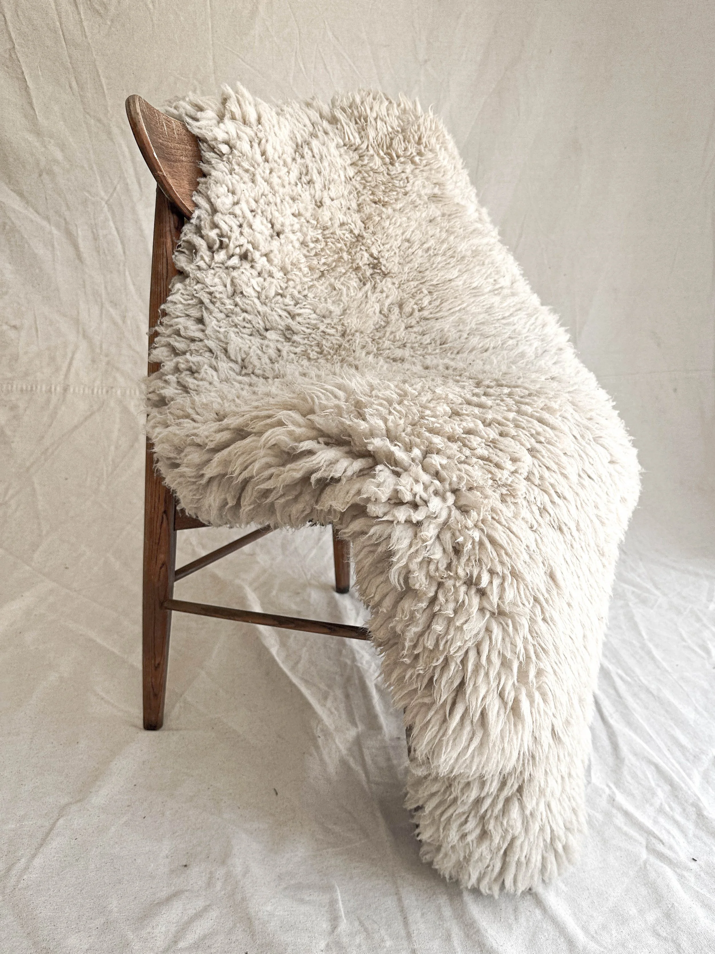 Summer 2023_300s_-58.jpg