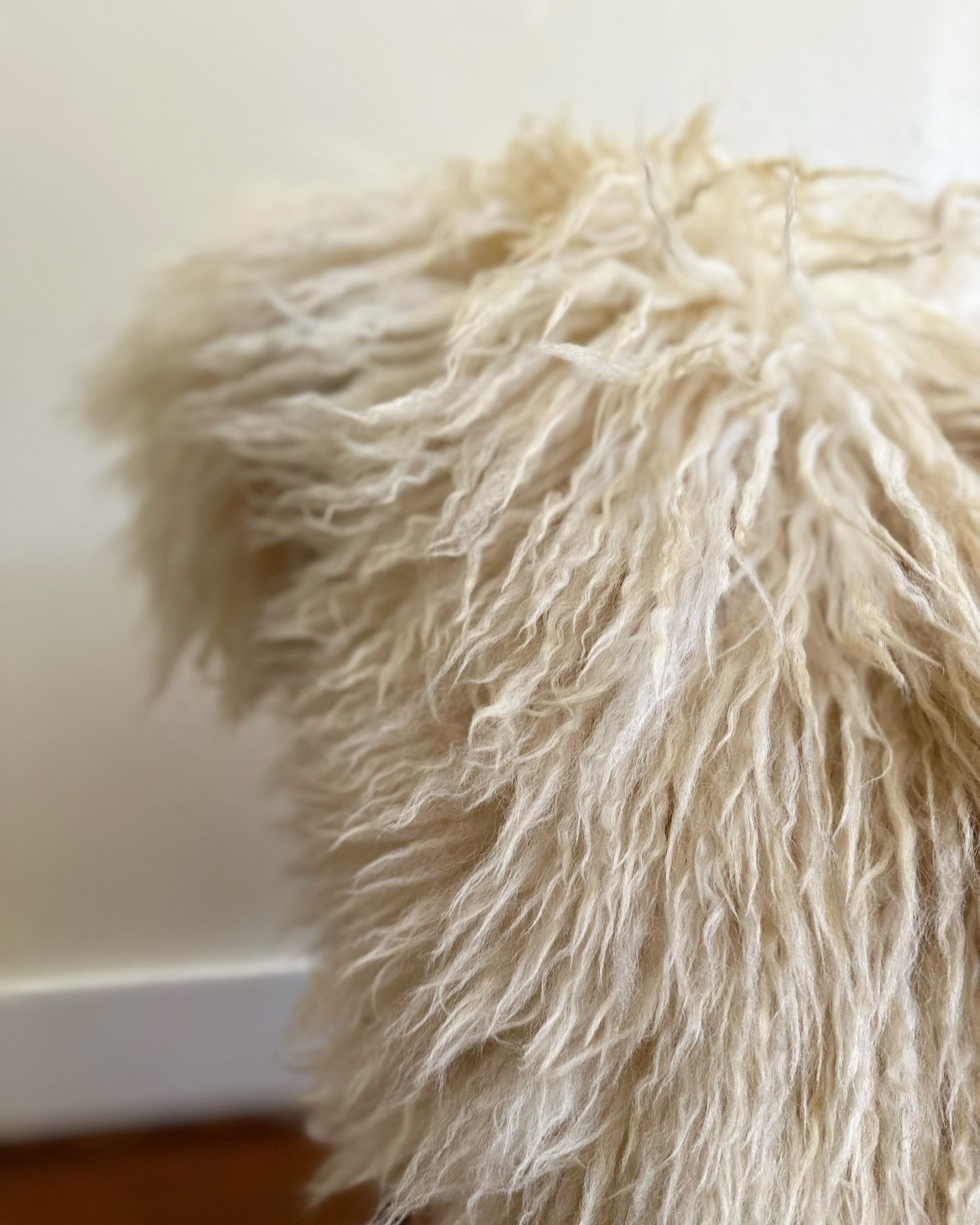 🍂Fall is here🍂 Time to get cozy. We are offering a welcome fall discount this week! Use FALL24 code at checkout for $25 off all hides.

#fall #hides #wool