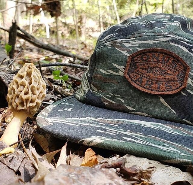 Tread lightly! Our dude @a_man_named_who  cares for our Mother Earth, always leaving it nicer then he found it! Care more! #onus #onusartprojects #morrellmushrooms #shrooms #caremore #boomers #leaveitnicerthanyoufoundit #mushroomhunting