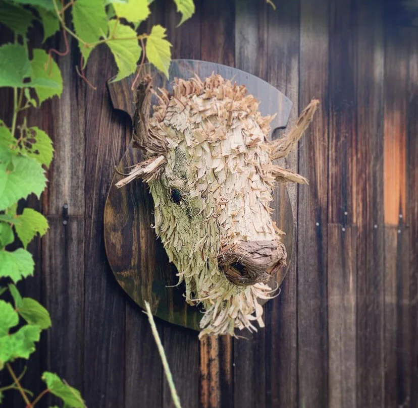 8FF955CB-669E-4413-94F2-6158A4BD793B