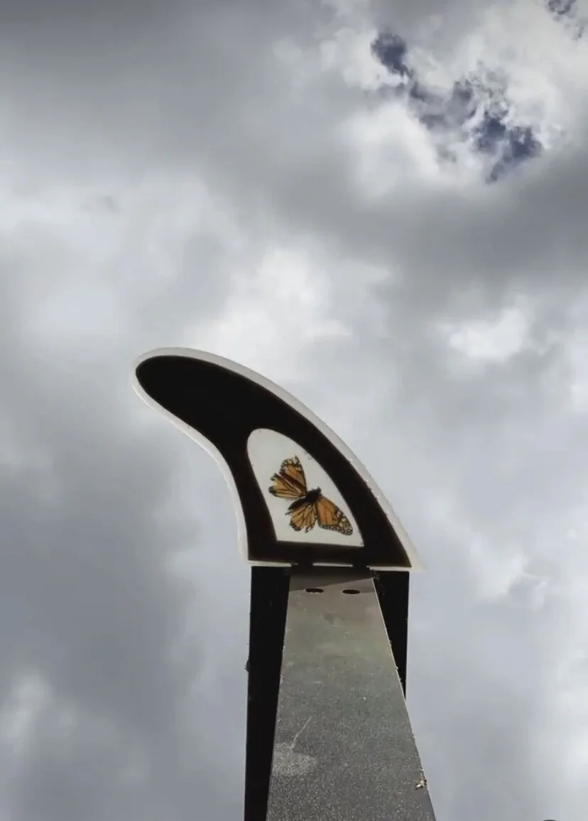 9758C3BF-2C91-4C04-BEB9-95584B2F992A