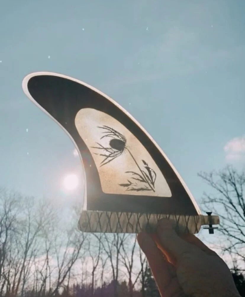 A09F4077-816C-4D49-AB26-E93718845390